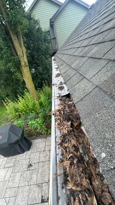 Turtle Shell gutter protection installation in Naperville, IL 60540, photograph 12