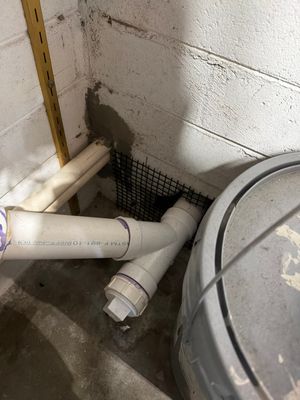 Wildlife exclusion in Orlando by A1 Home Pest Control