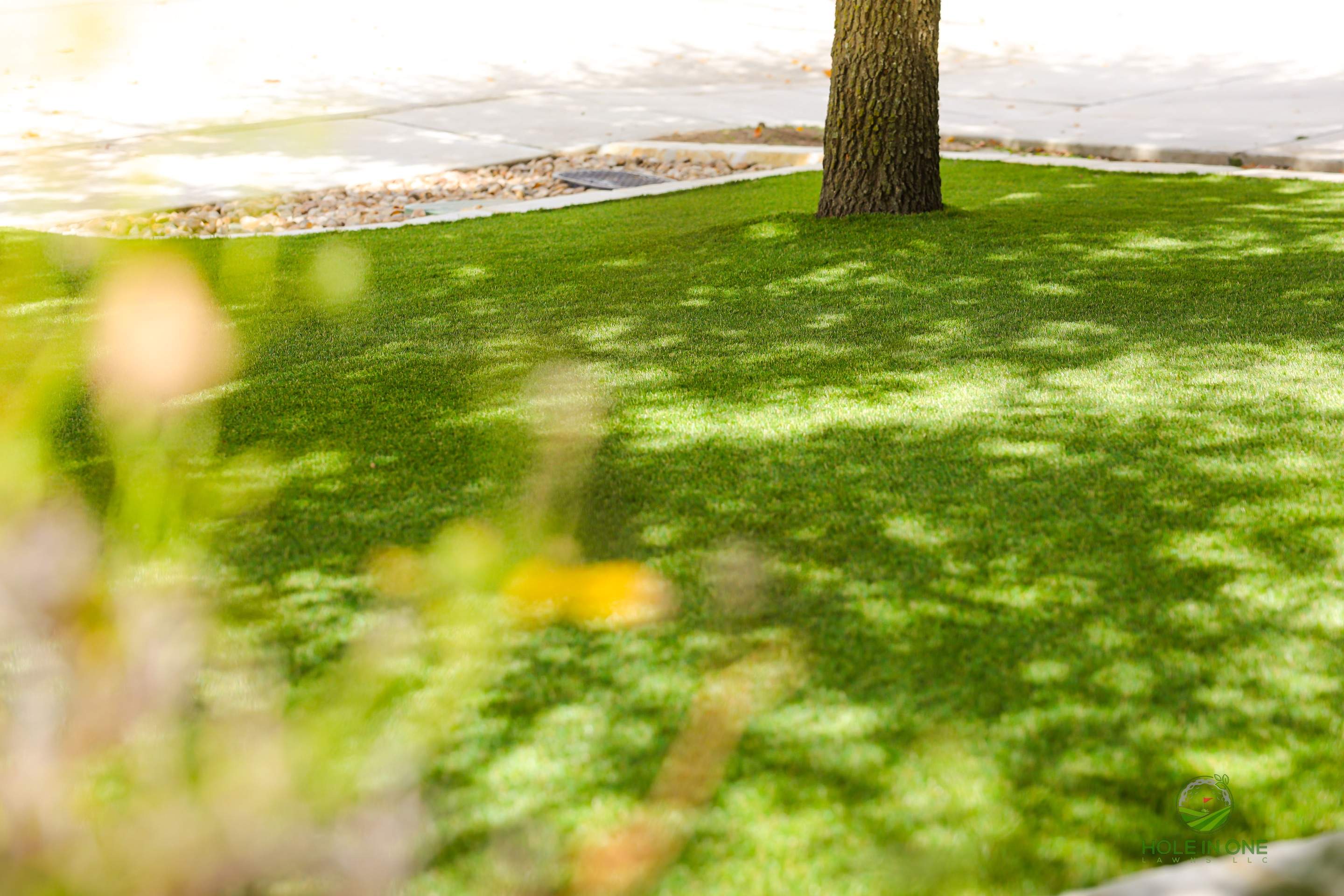 Wortham Oaks, San Antonio Tx. by Hole In One Lawns, LLC