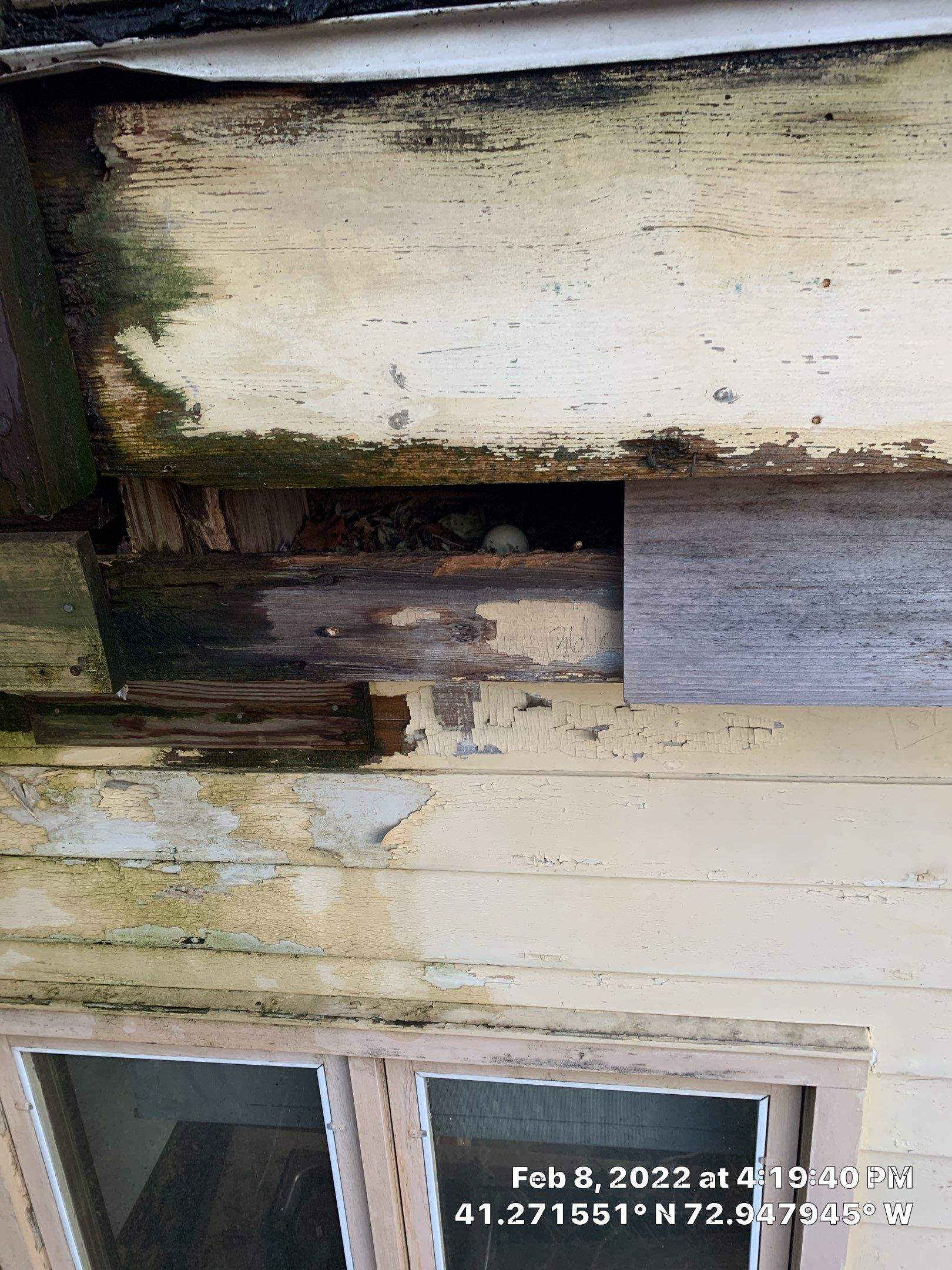 Deck Installation using EPDM substrate by A Plus Exterior