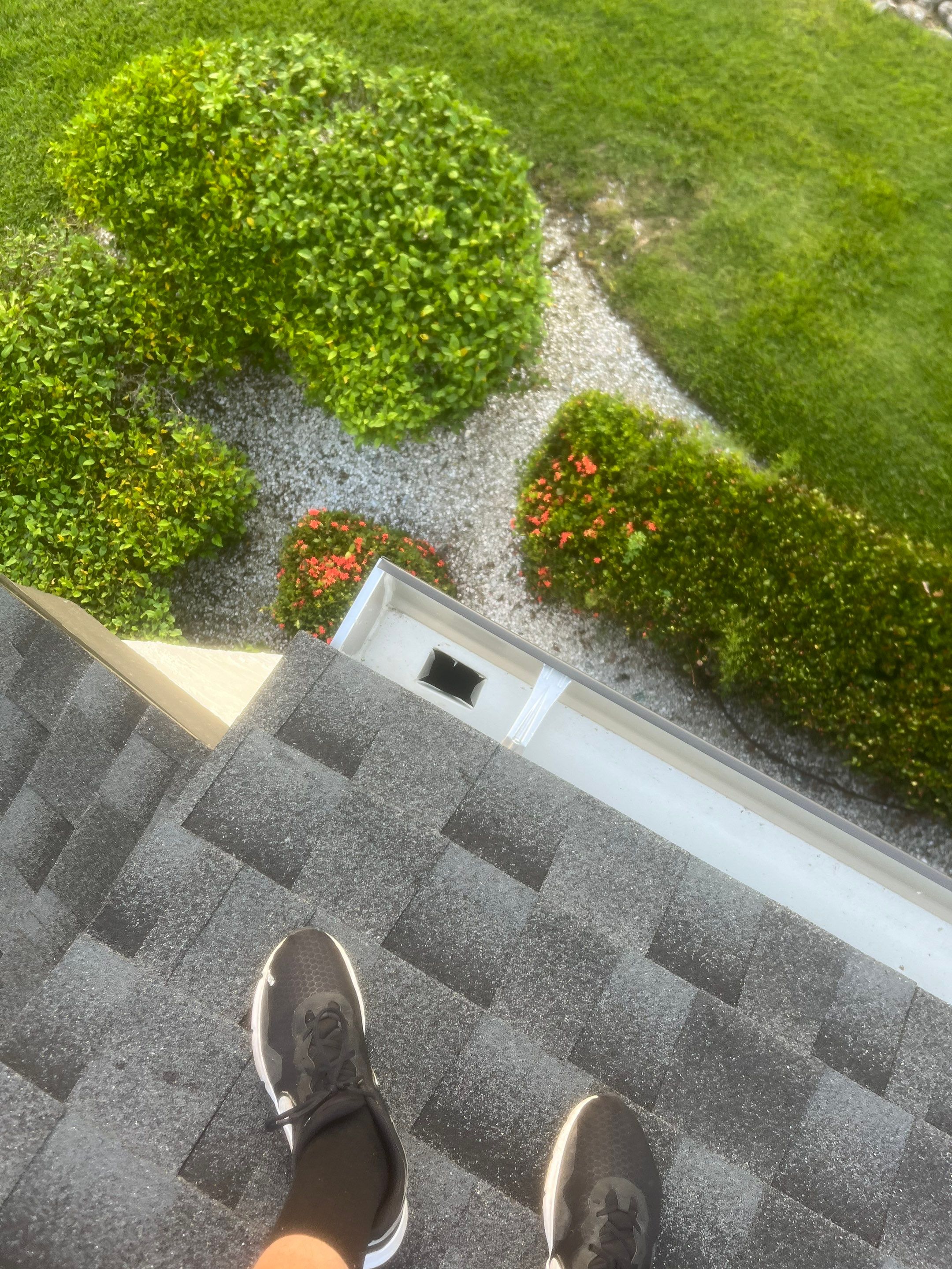 Professional Gutter Cleaning in Fort Myers FL by Gutter Professors