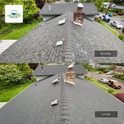 Onyx Black Shingles