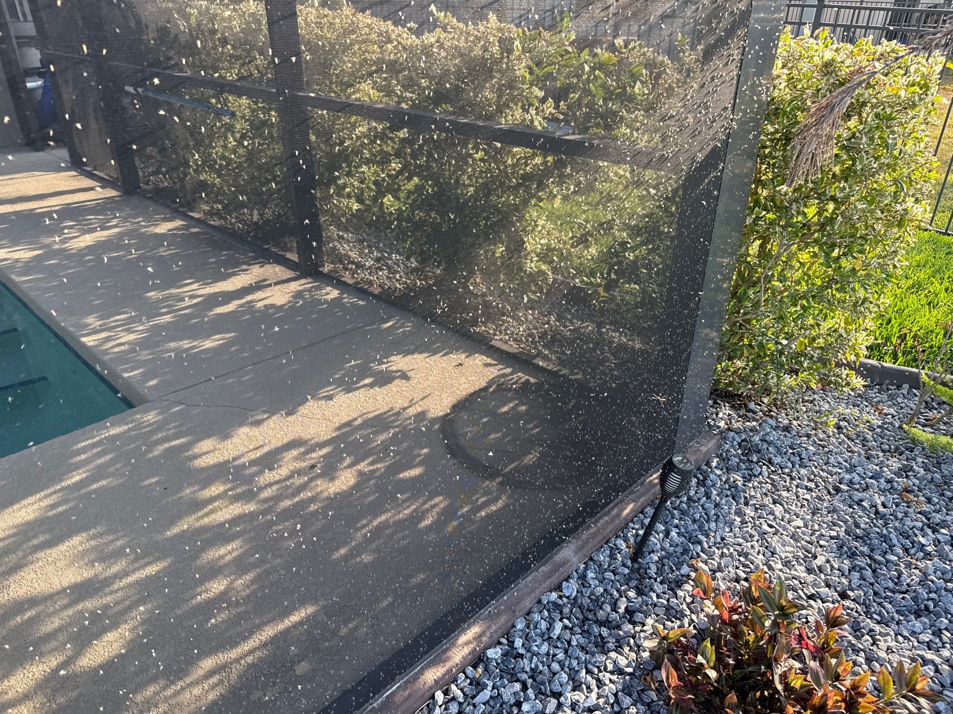 Roof Soft Wash, Pool Deck & Screen Enclosure Cleaning – Trevesta Community, Palmetto, FL by Sunshine AquaWash