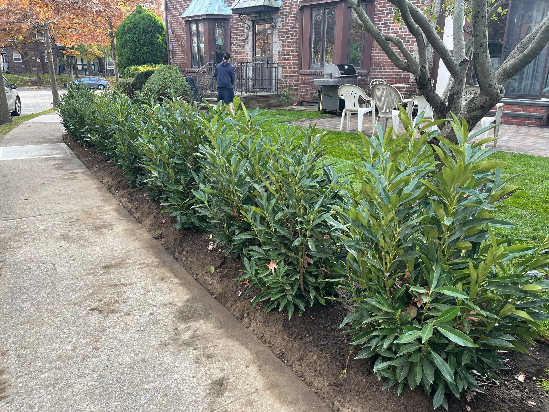 Landscape Design by elegant Lawns