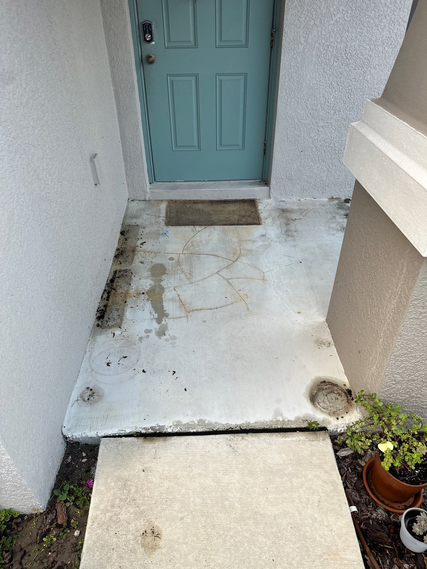 🚿 Concrete Driveway, Sidewalk & Entryway Cleaning – Trevesta Community, Palmetto, FL by Sunshine AquaWash