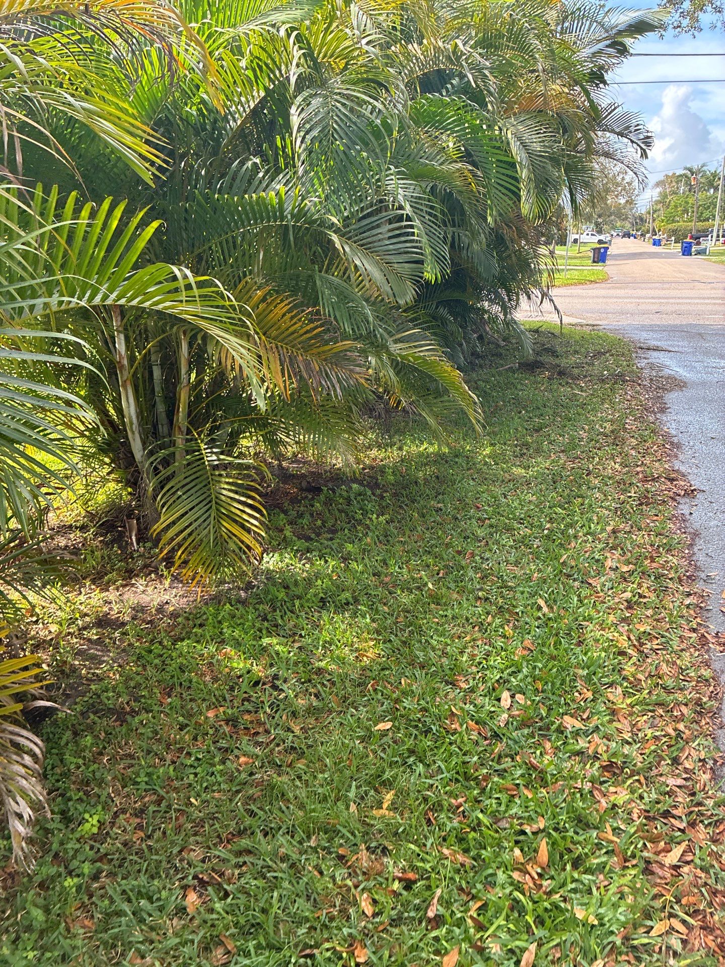 🏡 Pre-Sale Property Cleanup in Old Palm City, FL by Alpha Zeta Enterprises Inc