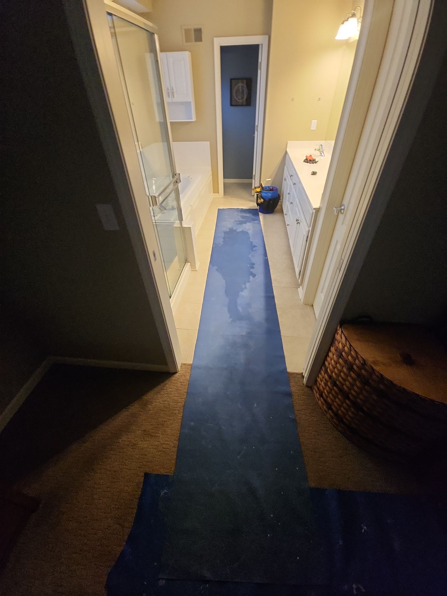 Onyx Shower and vanity top by The Shower Company