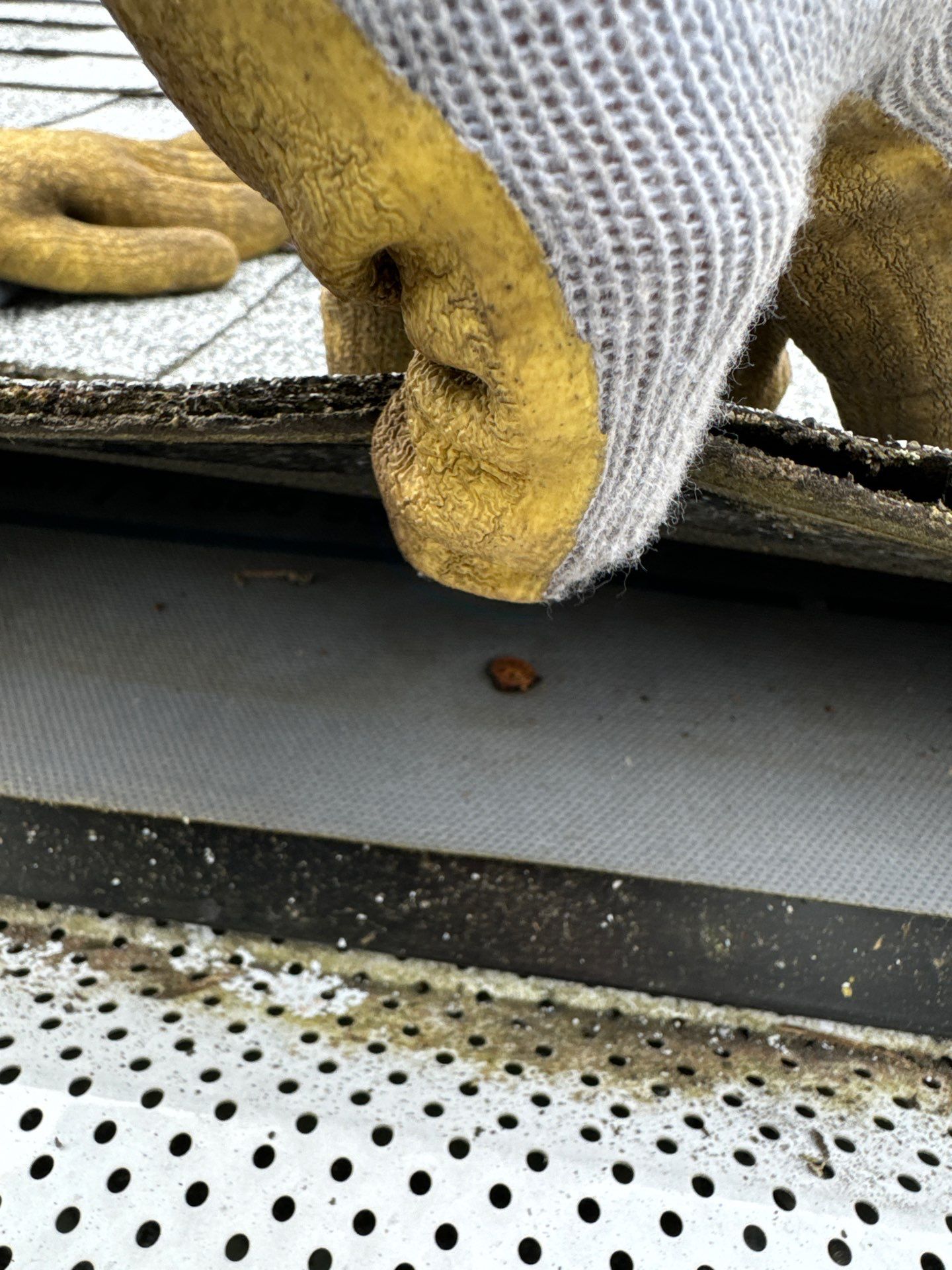 Project in Covington by Connolly Construction Company