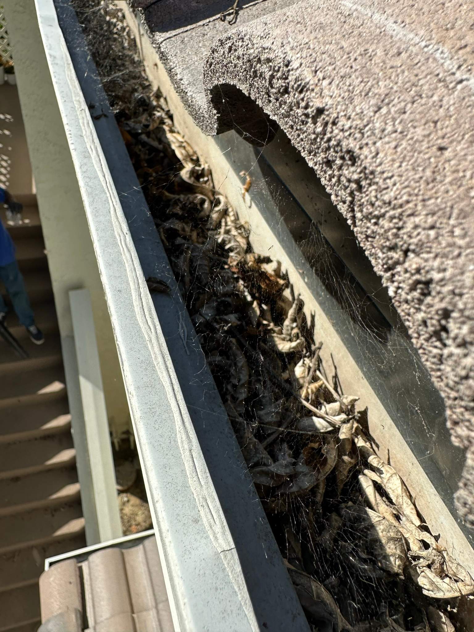 Lake Forest HOA Gutter Cleaning by Property Cleaning Experts, LLC