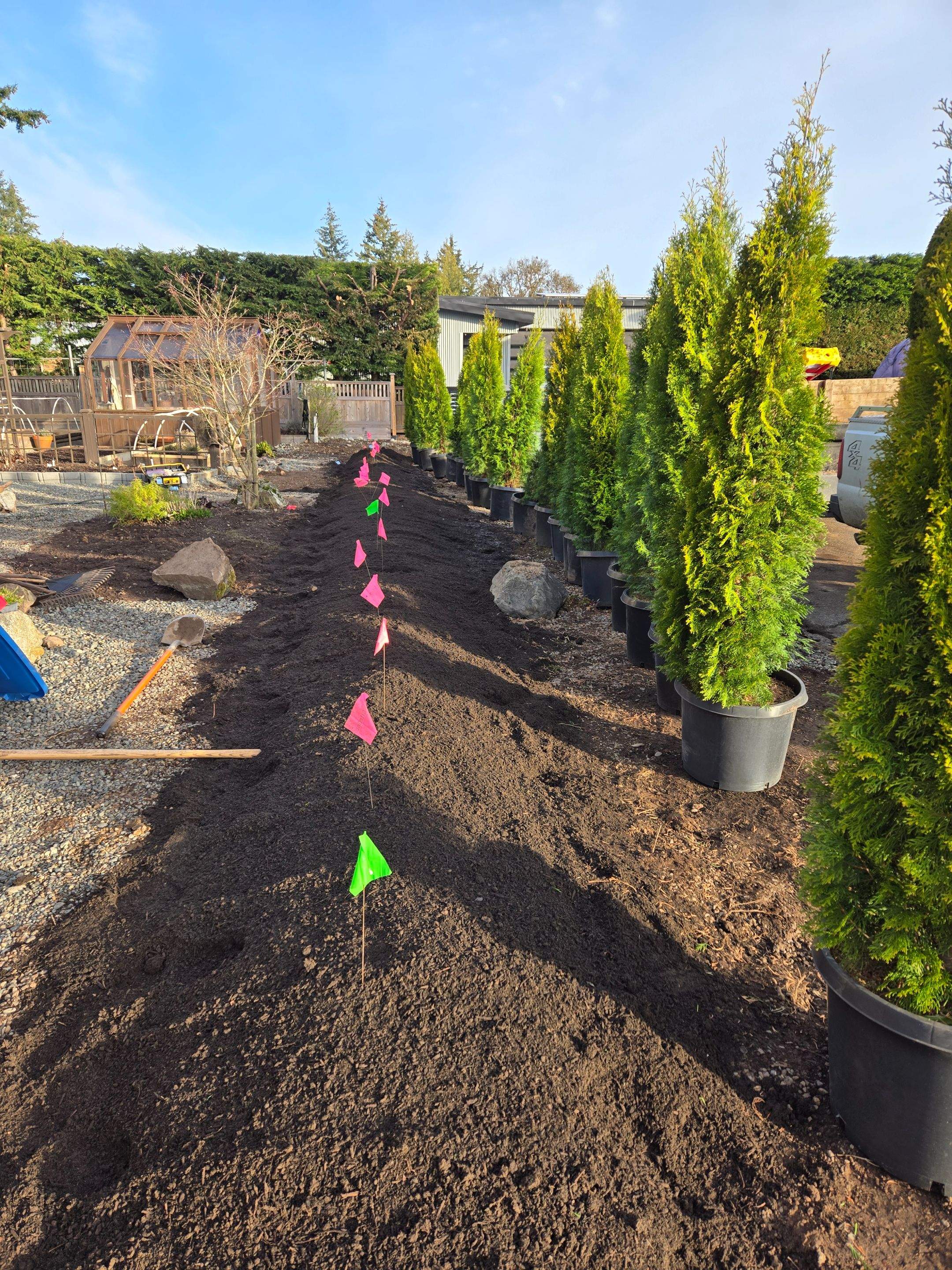 Emerald Cedar Hedge and Irrigation Installation – Enhancing a West Coast Front Yard by Habanero Garden and Exterior Care