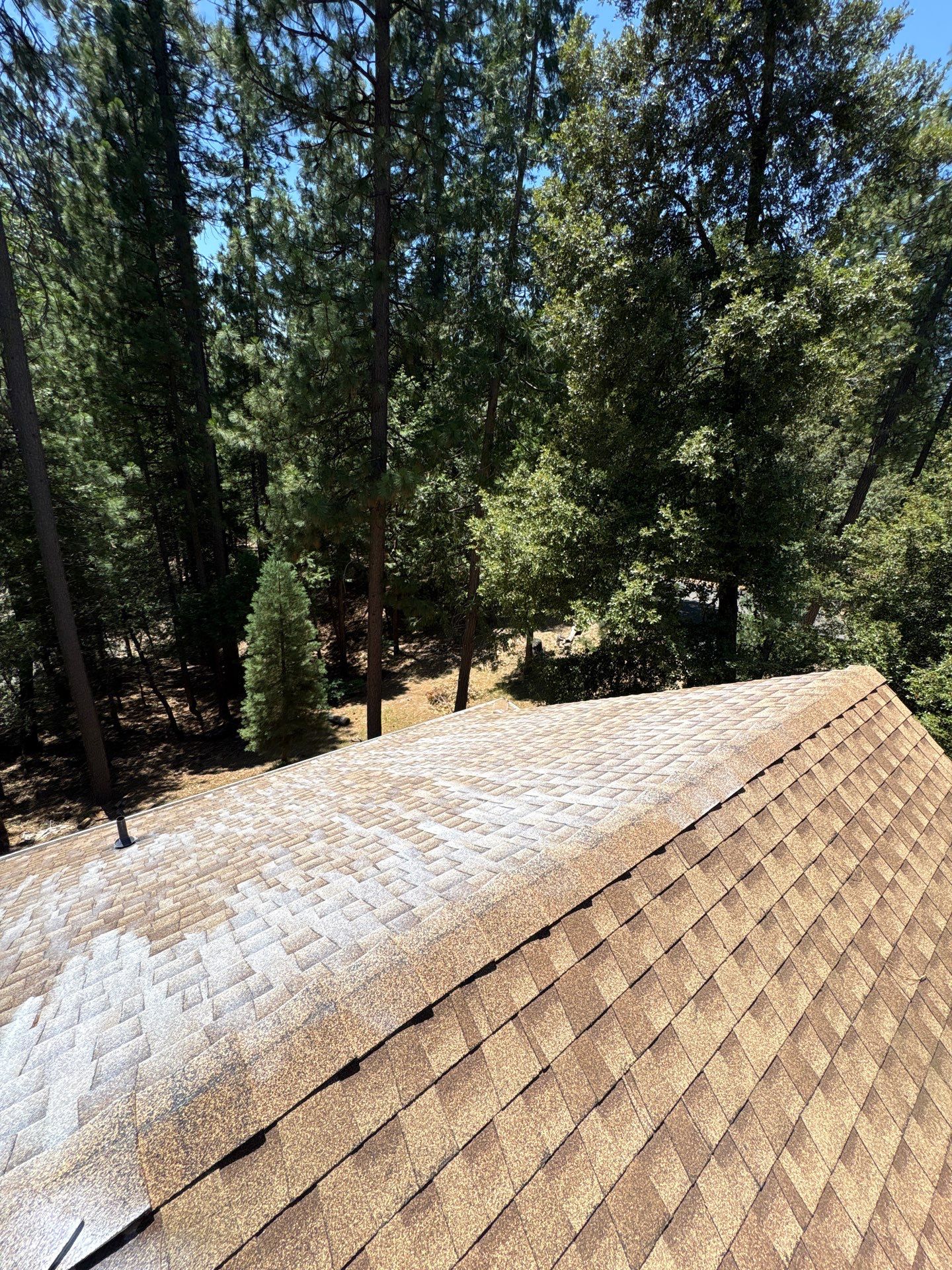 Roof Rejuvenation using Roof Maxx Treatment by Roof Maxx of Folsom