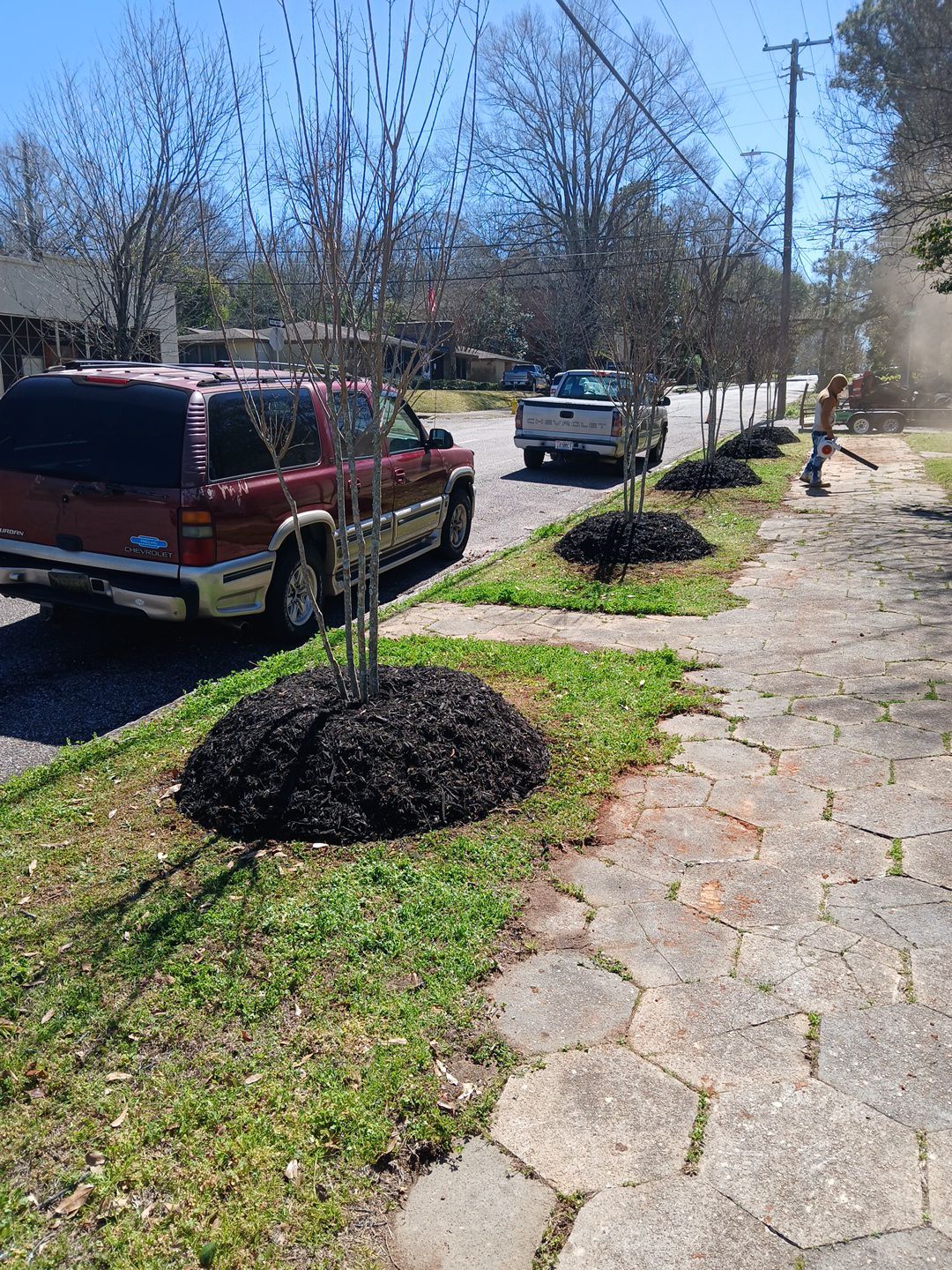 Enhancing Public Spaces: Municipal Landscaping Project by BTops Landscaping Inc.