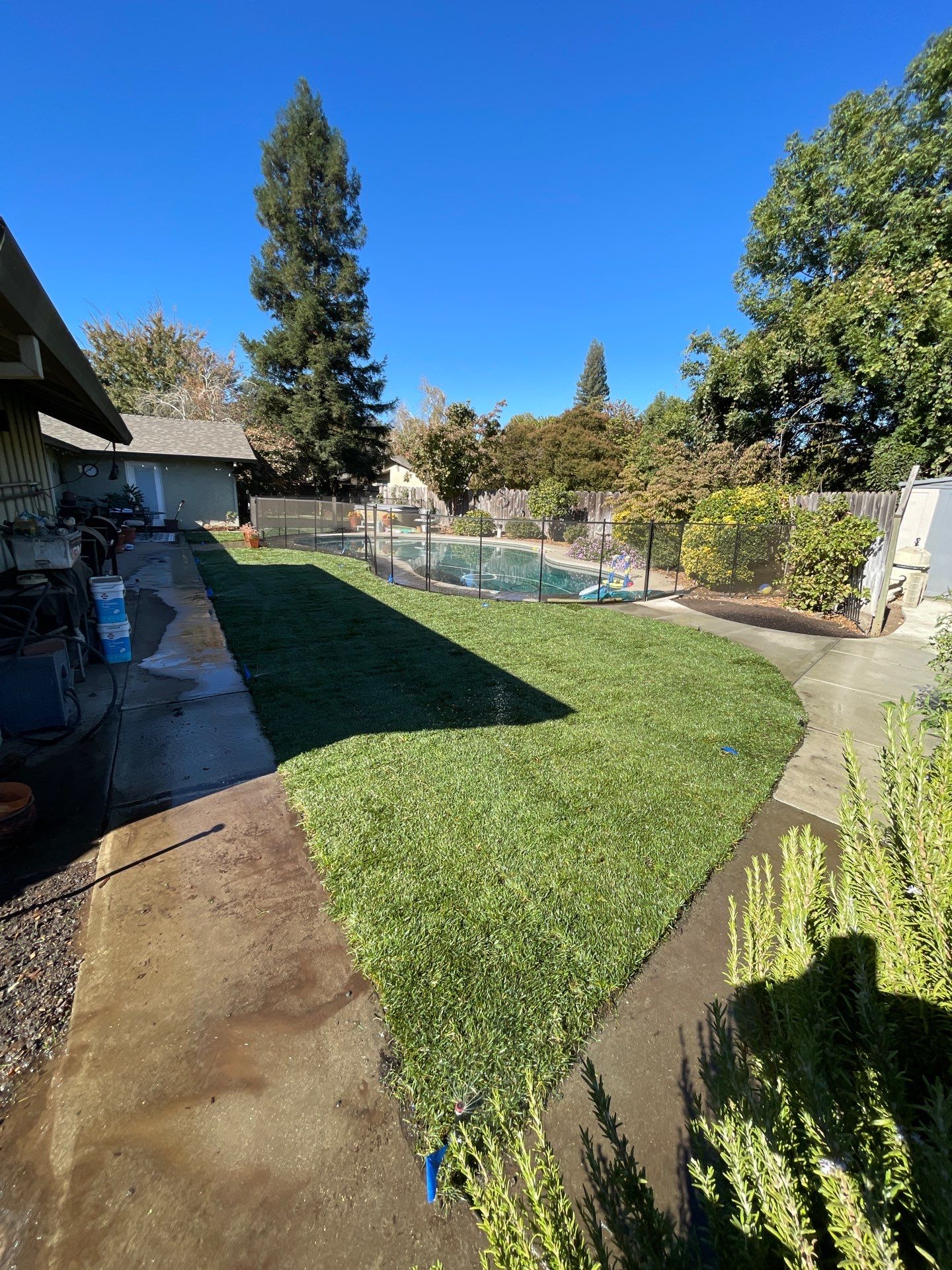 Project in Chico by A - G Sod Farms