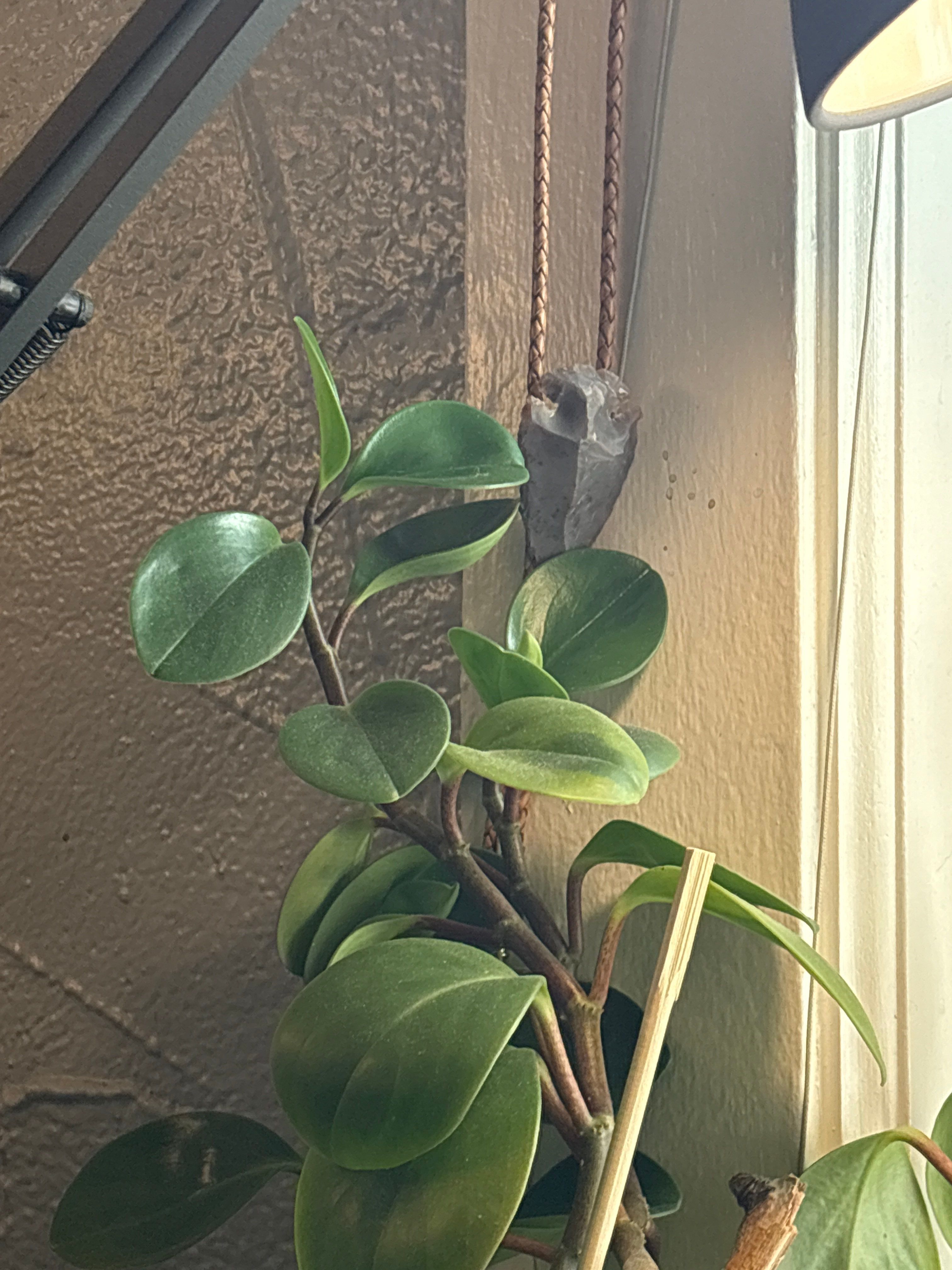 Less Water Today by CompanyCam | Account Management Demo Account