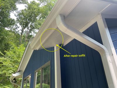 Raindrop Gutter Covers