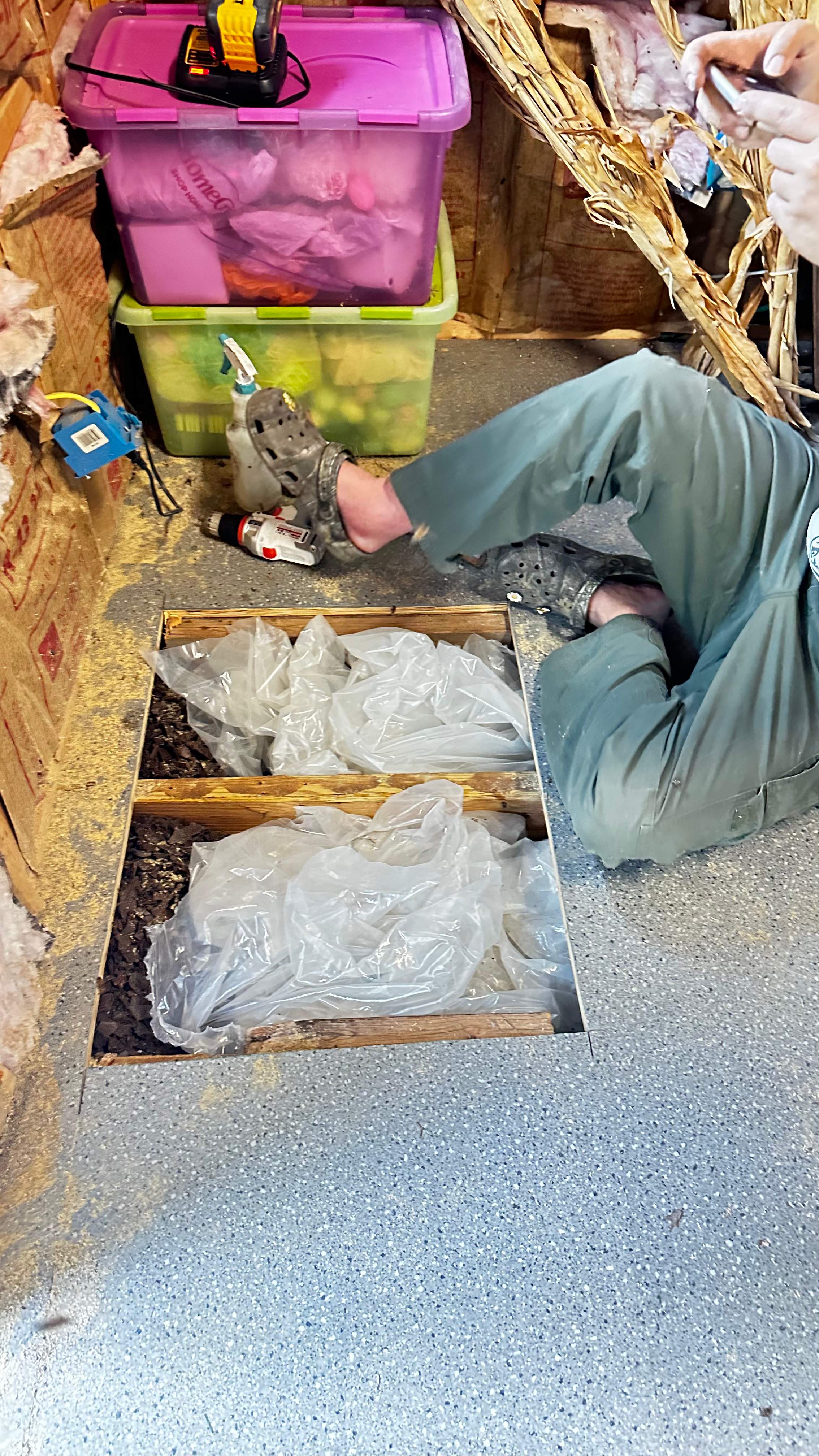 Under a Shed  by Rockwall Honey Bee Company