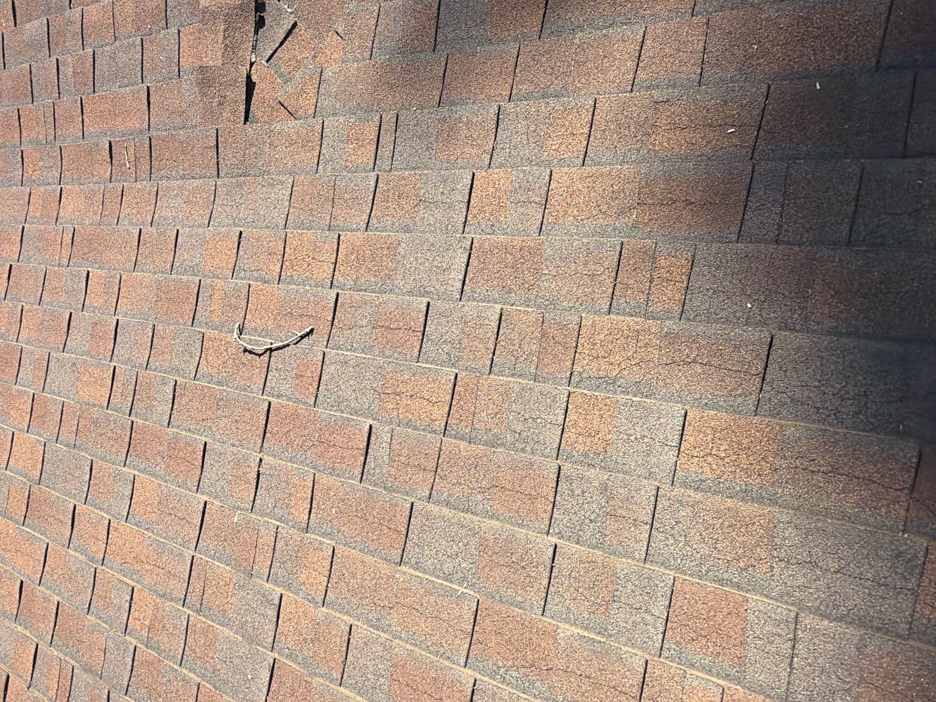 Roof Rejuvenation using Roof Maxx Treatment by Roof Maxx of Folsom