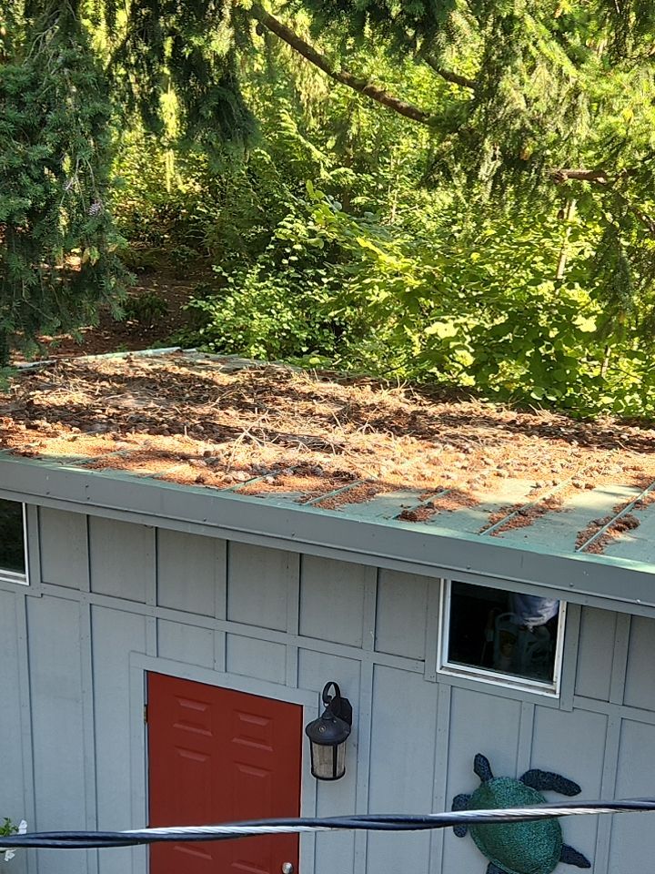 Roof Treatment using Biocide by Willamette Outdoor Wash LLC