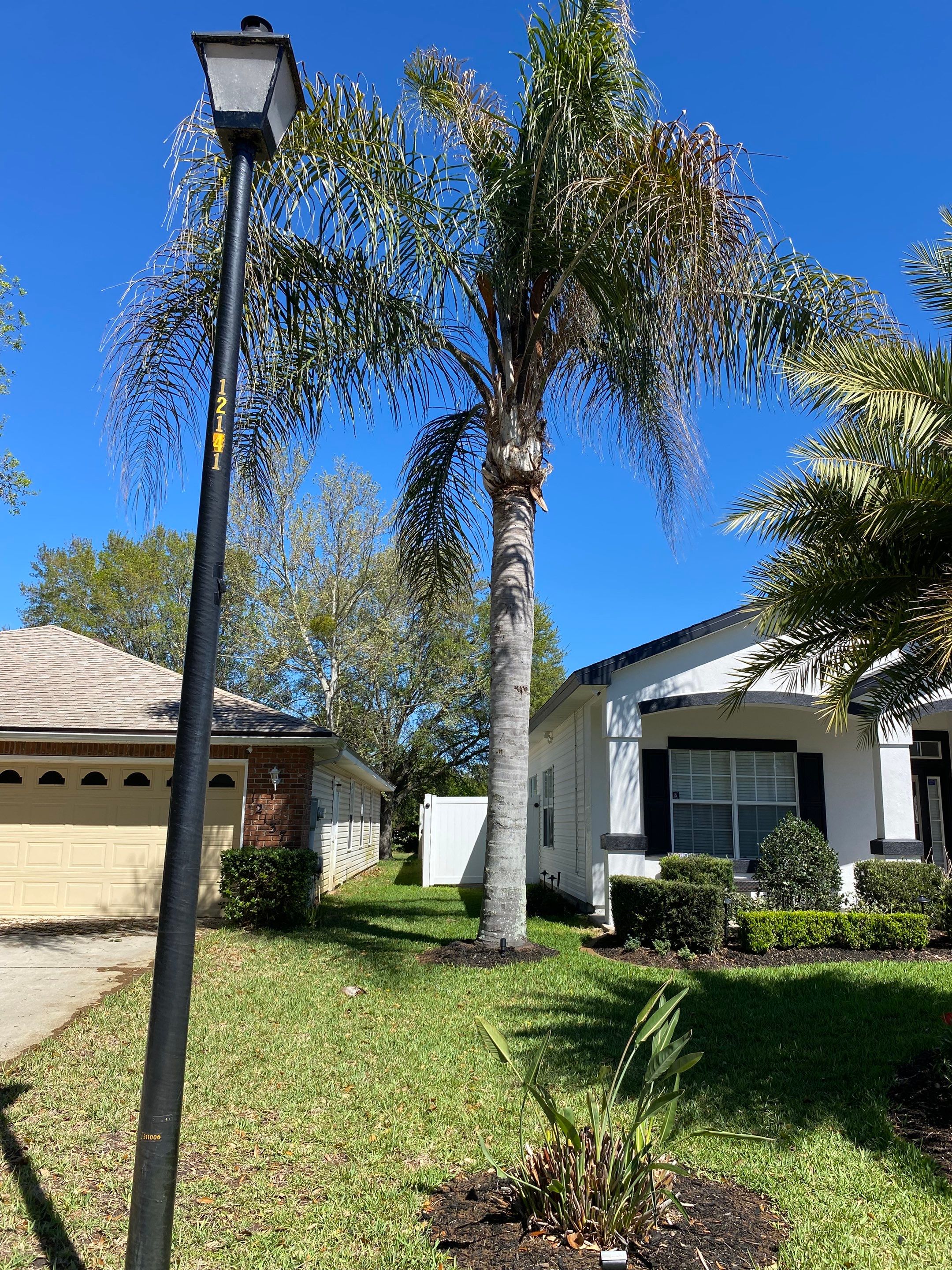 Residential | Tree Service by ProGreen Services