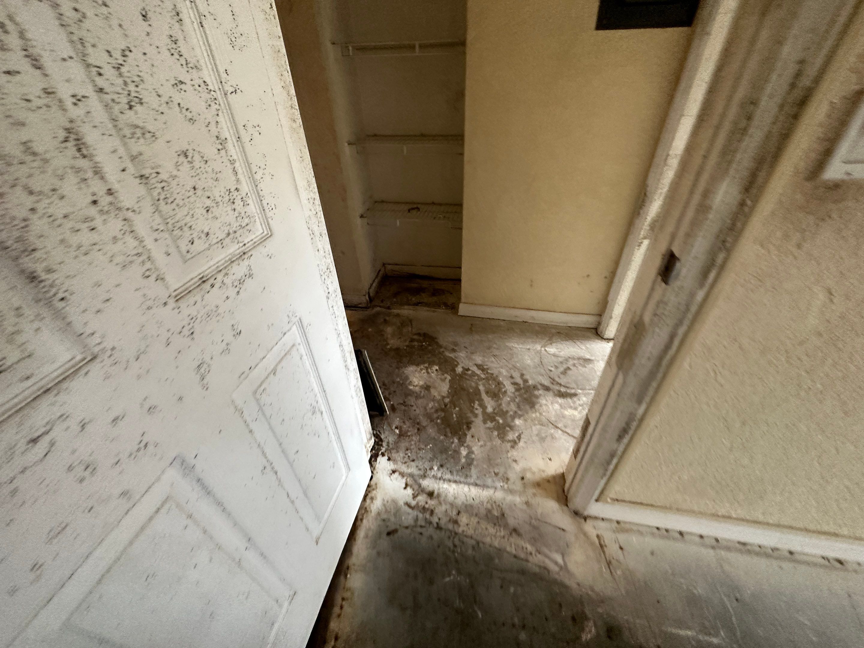 Water Damage Claim in Daytona Beach by FLAPA & KeyStone