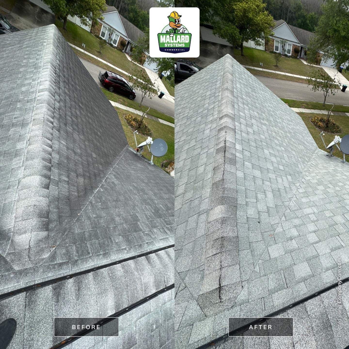 Roof & Solar Panel Cleaning by Mallard Systems