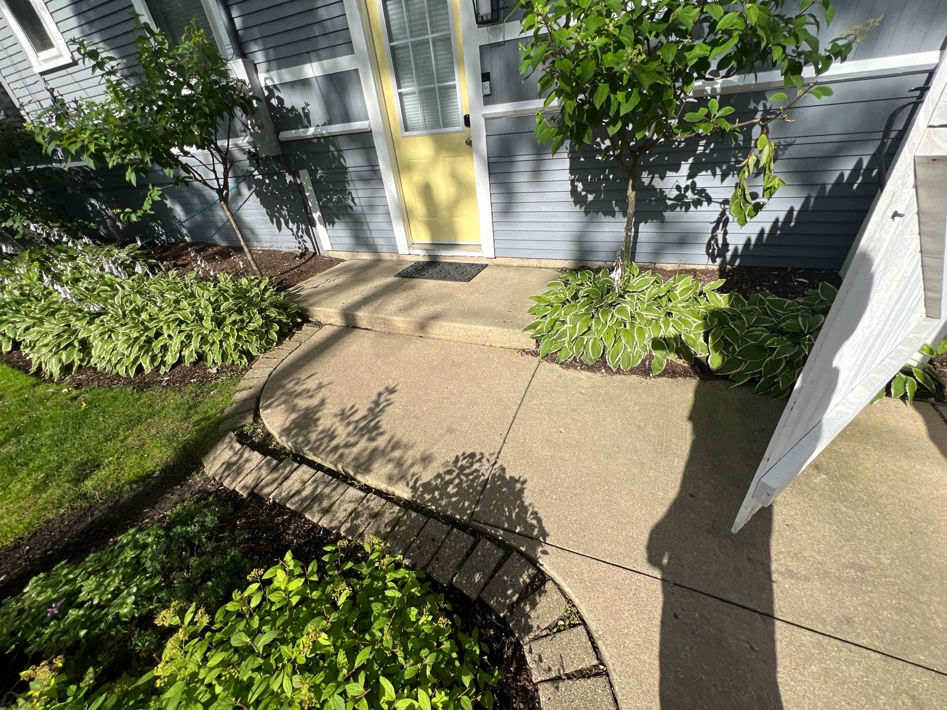 concrete cleaning using Algaecide, soft wash soap by Northern Power Washing LLC.