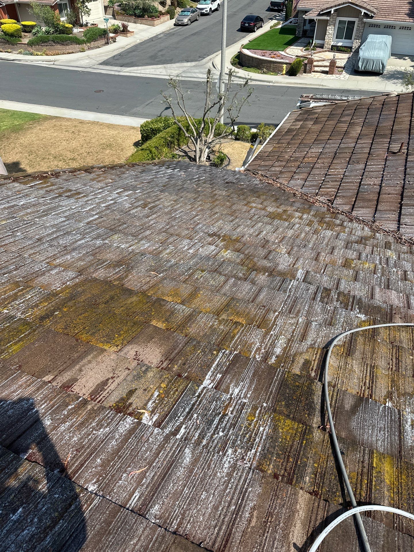 Orange County Roof Washing in Lake Forest by Property Cleaning Experts, LLC