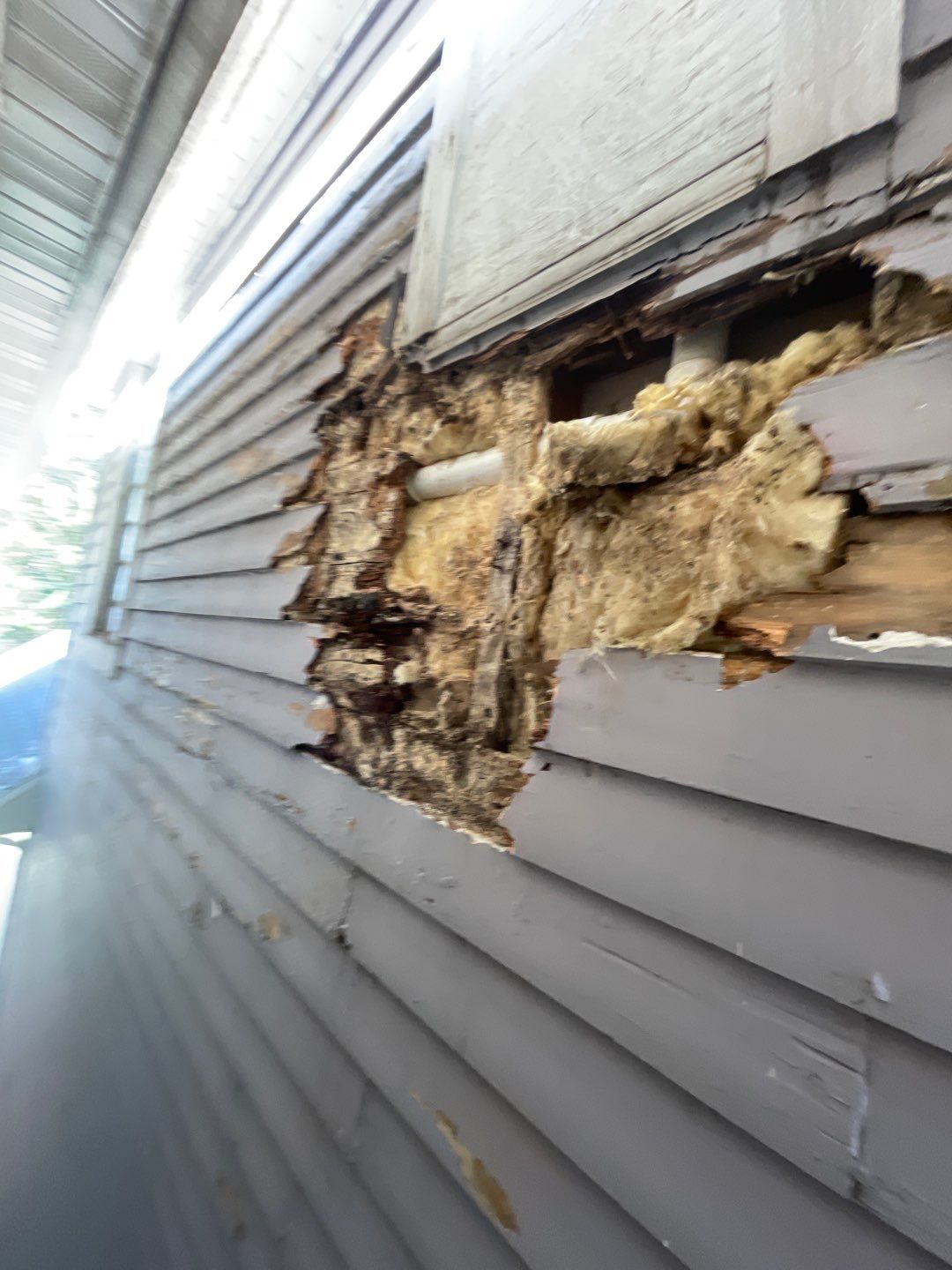 Megna Crew Showcase by Megna Painting