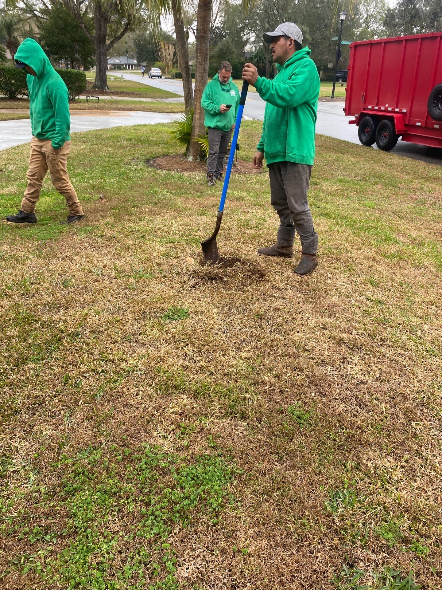 Deerwood | Live Oak Planting Project  by ProGreen Services
