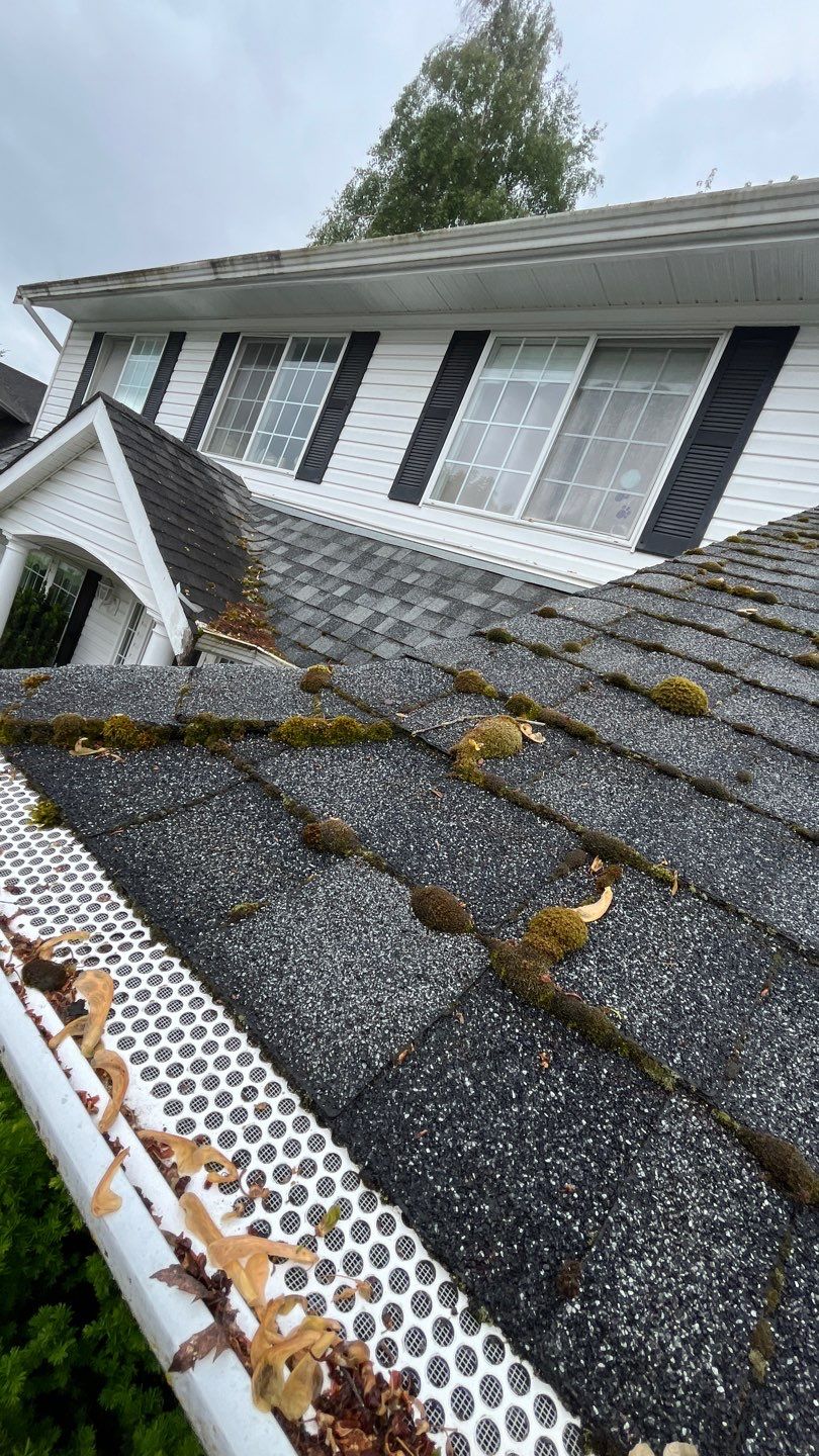 Residential Reroof Shingle - Pewter Grey by Top Notch Roofing Inc