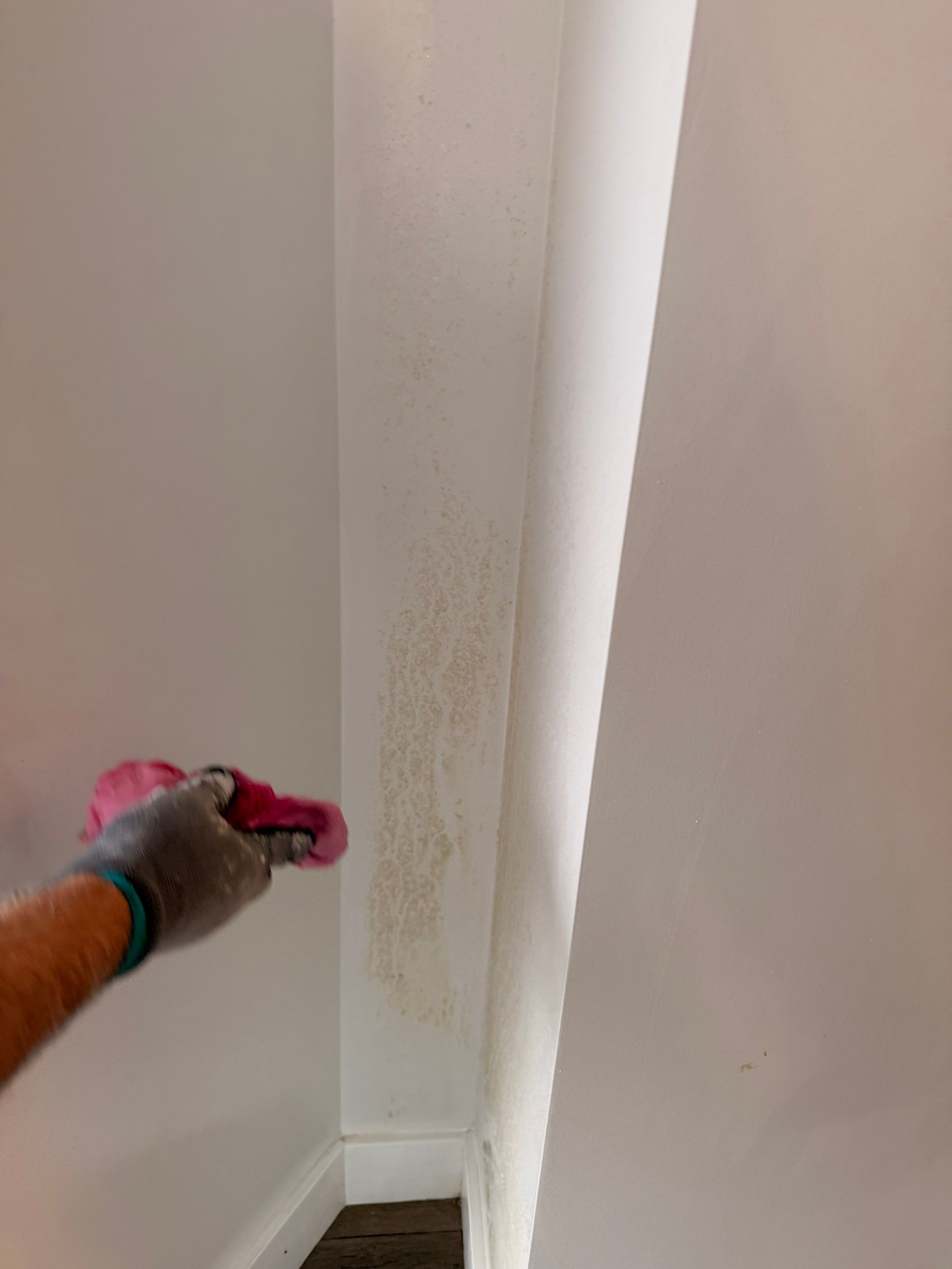 Mold Remediation & Flooring Restoration After Moisture Barrier Failure by YVR Construction Group