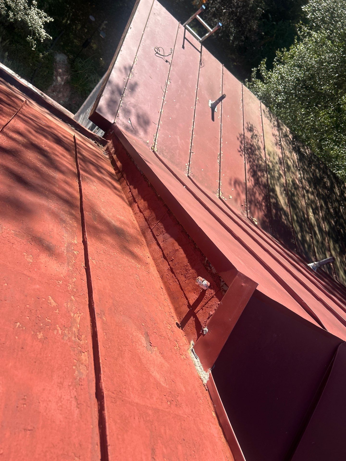 Alexandra: Residential Metal Roofing  by RM Banning, Inc.