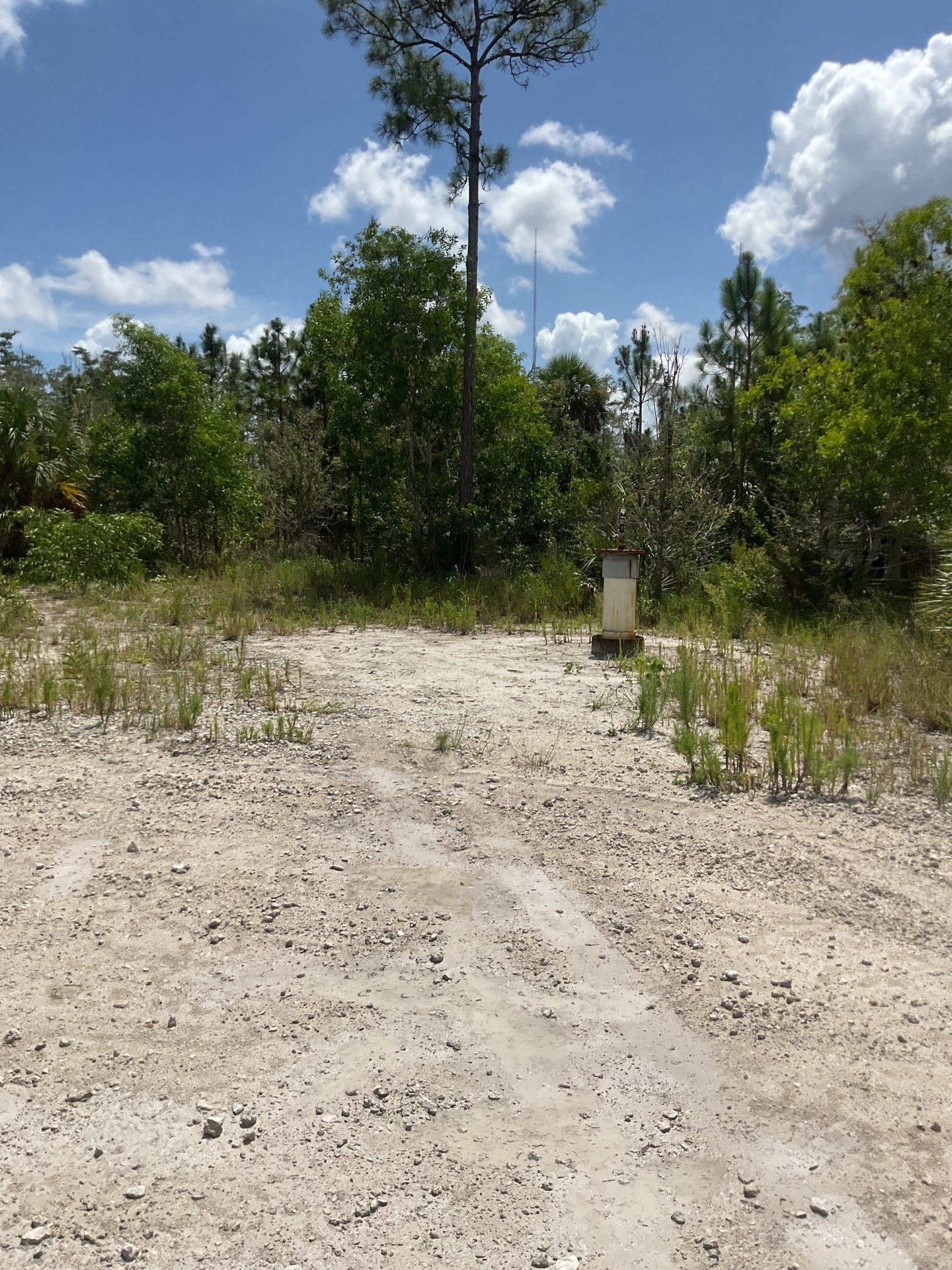 Well pump Station In Bonita Springs by Southern Gulf Construction