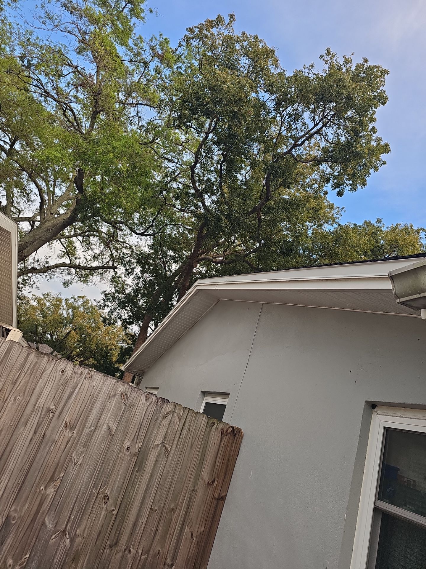 Project in Palm Harbor 34684 by Mitchell Roofing Company LLC