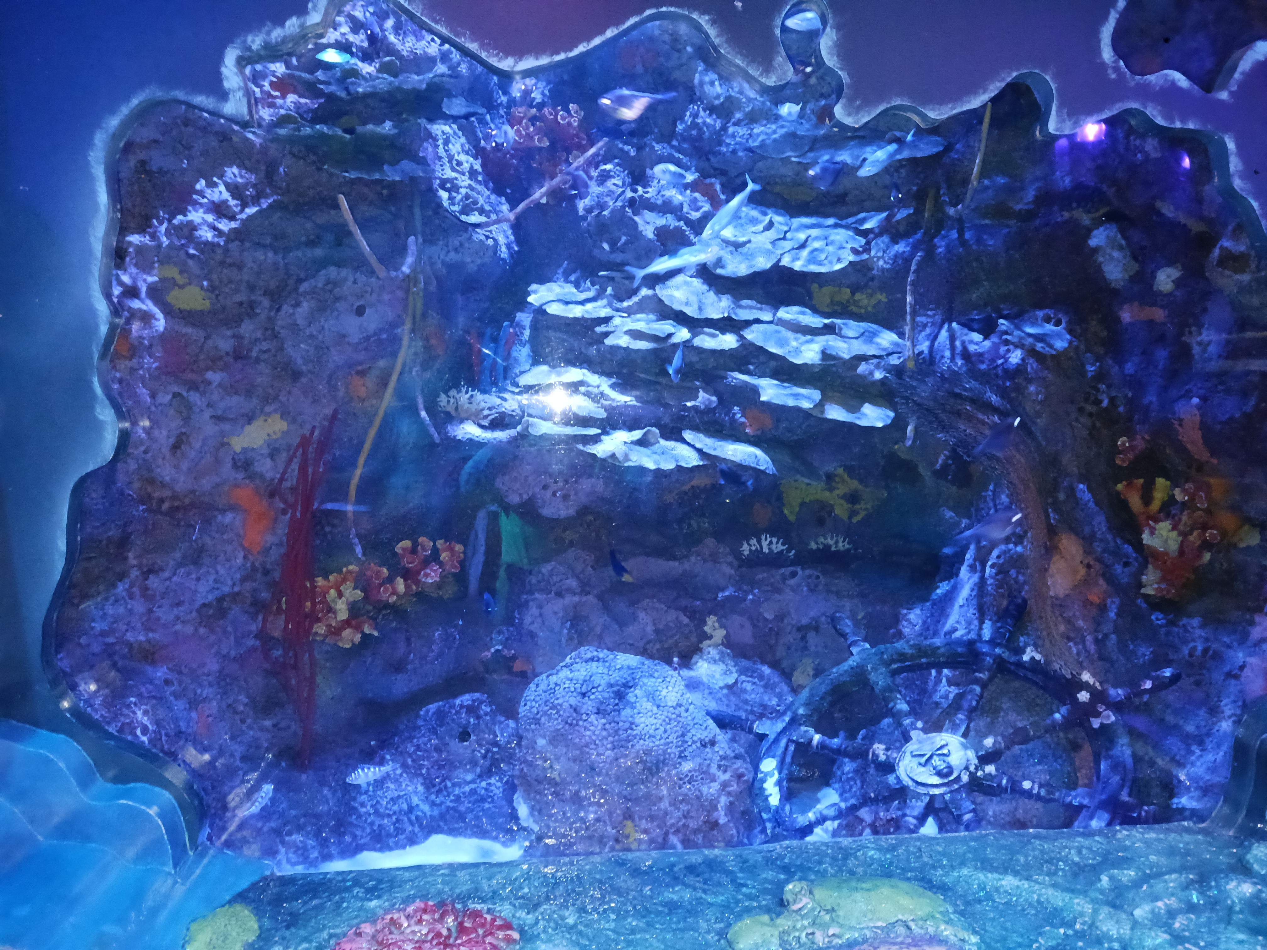 ServiceMaster TBS featured photo.