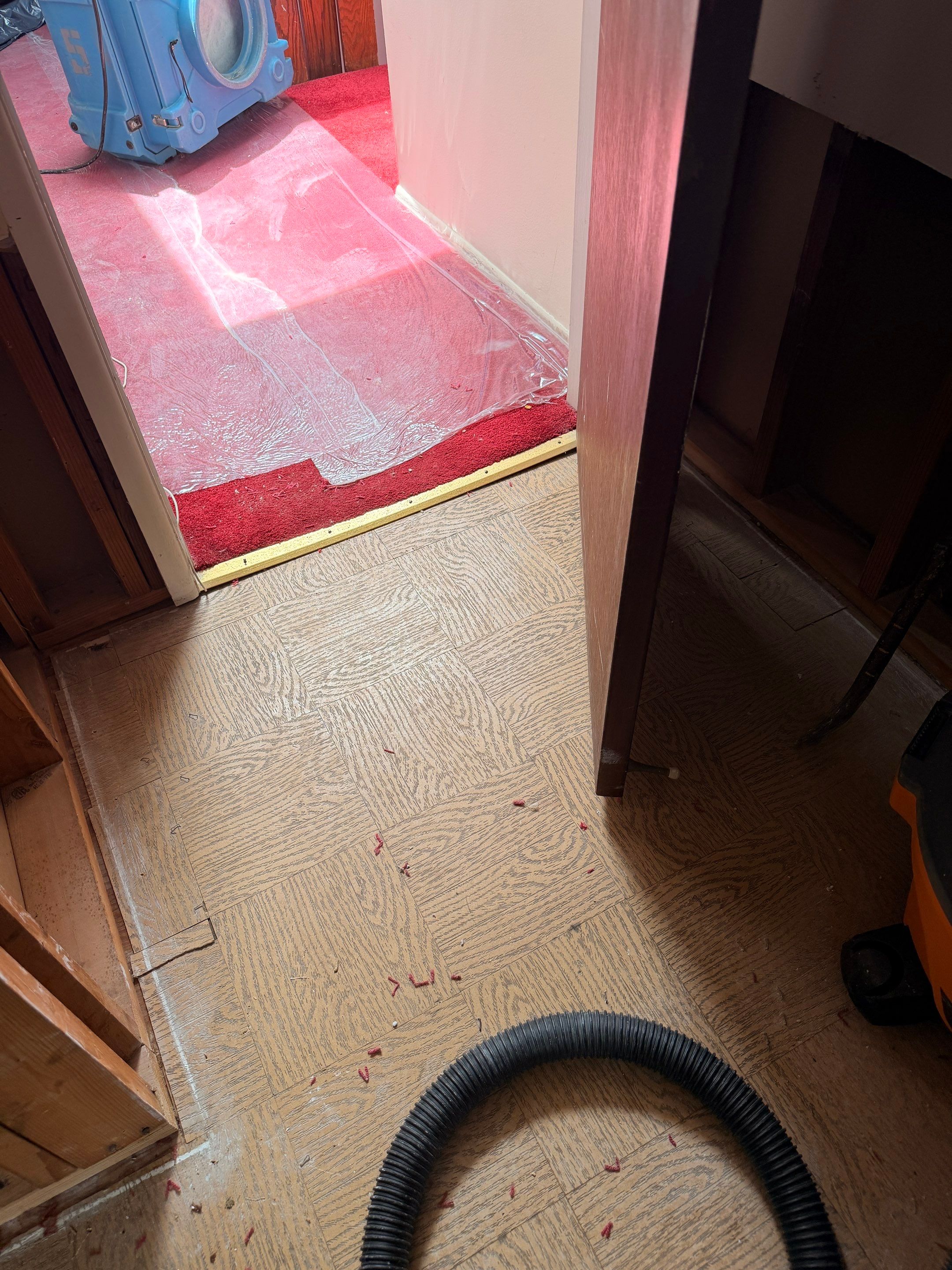 Water Damage Mitigation and Asbestos Remediation in Medford by Newhouse Restoration