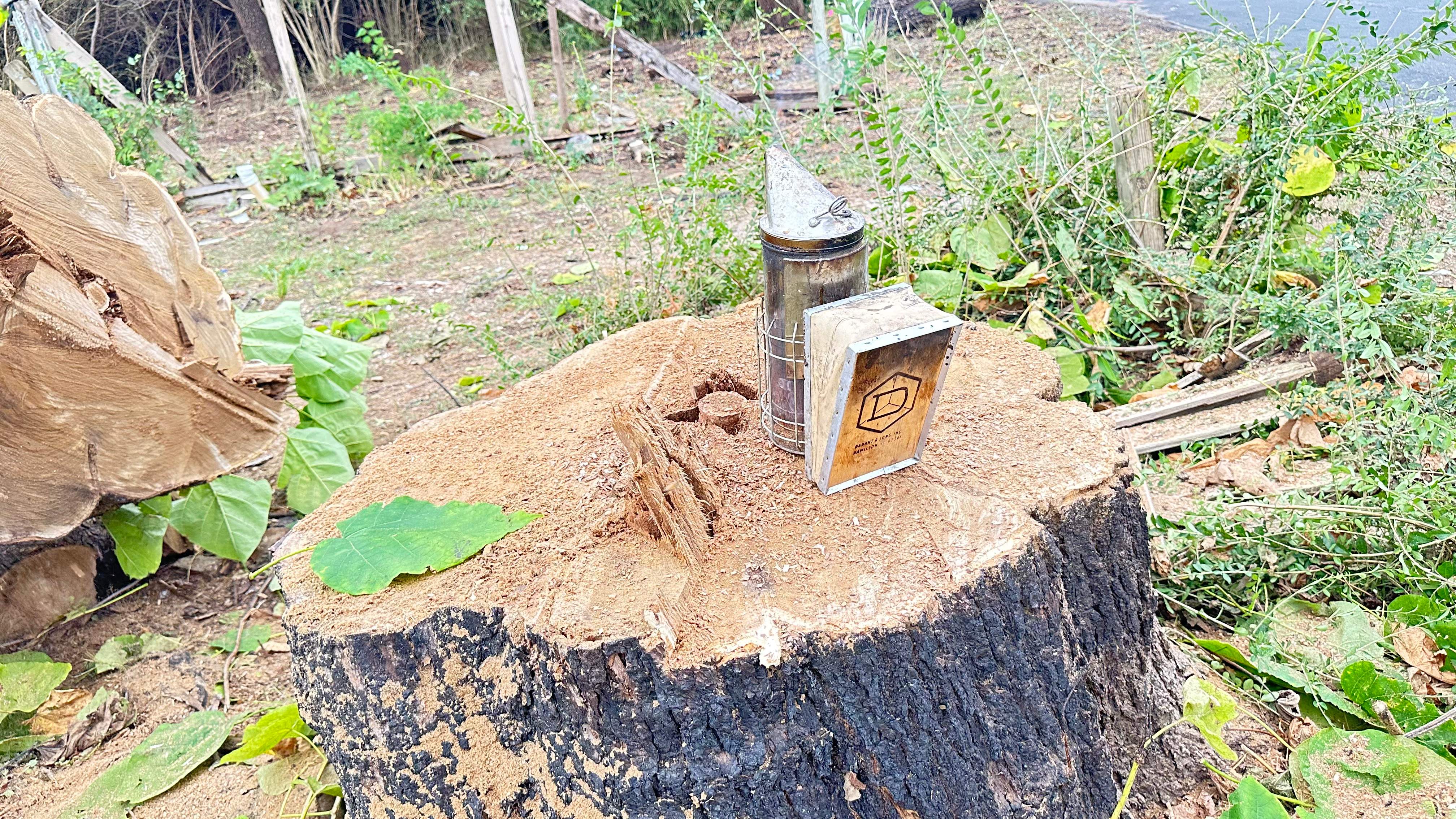 City Tree Company  by Rockwall Honey Bee Company