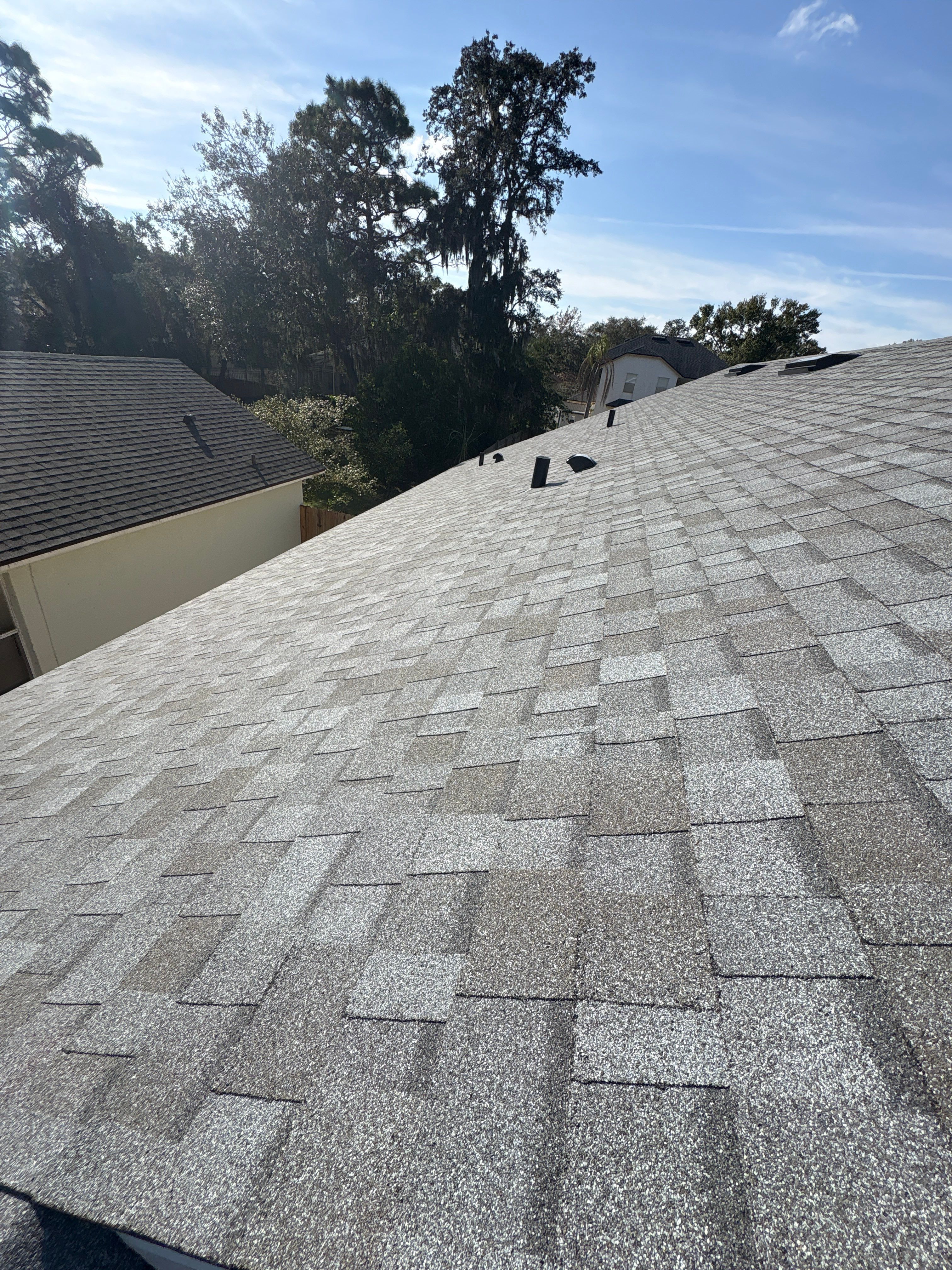 Panther Roof featured photo.