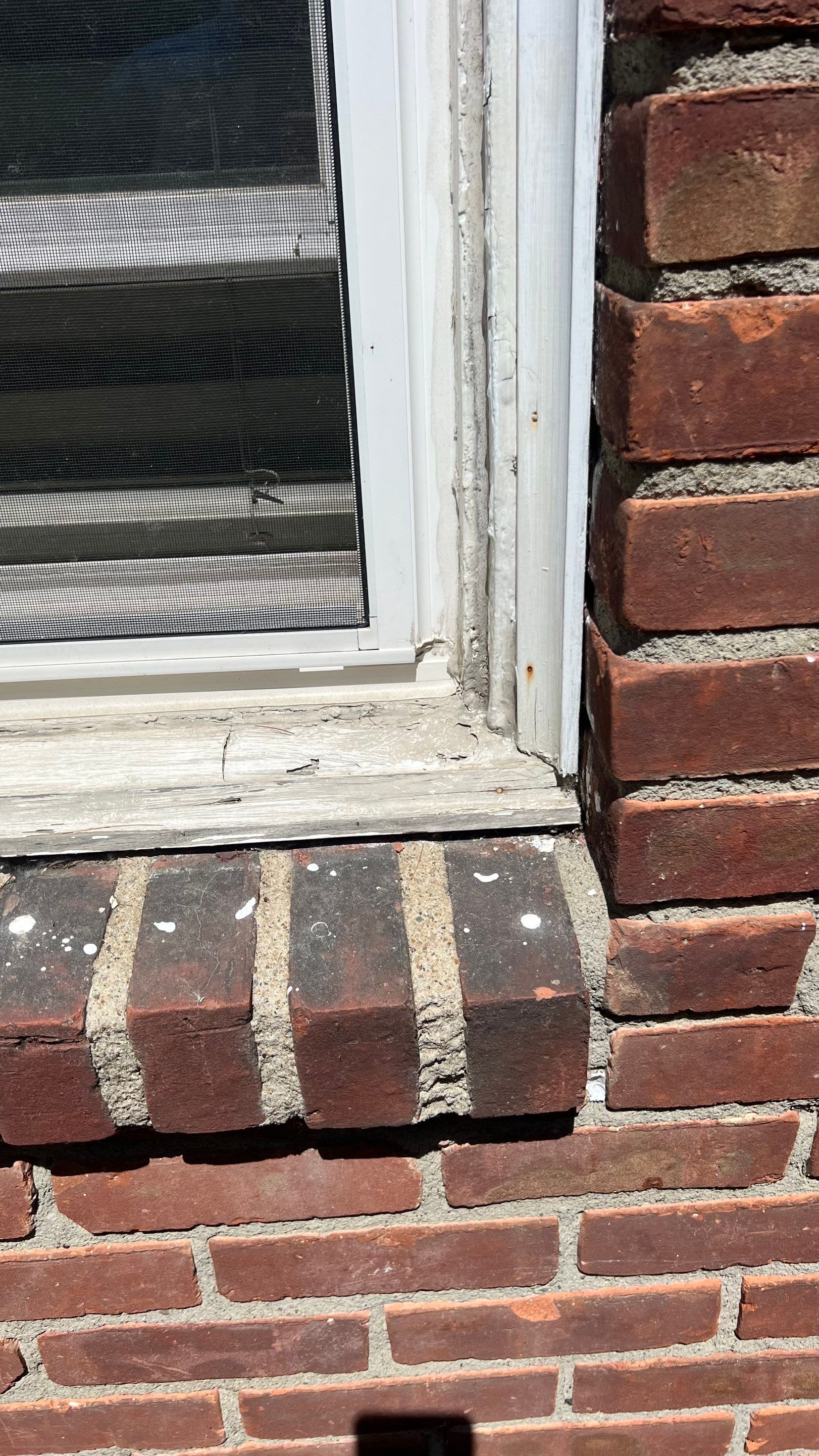 Whole House Window Replacement in Albany, NY by Yankee Home Improvement