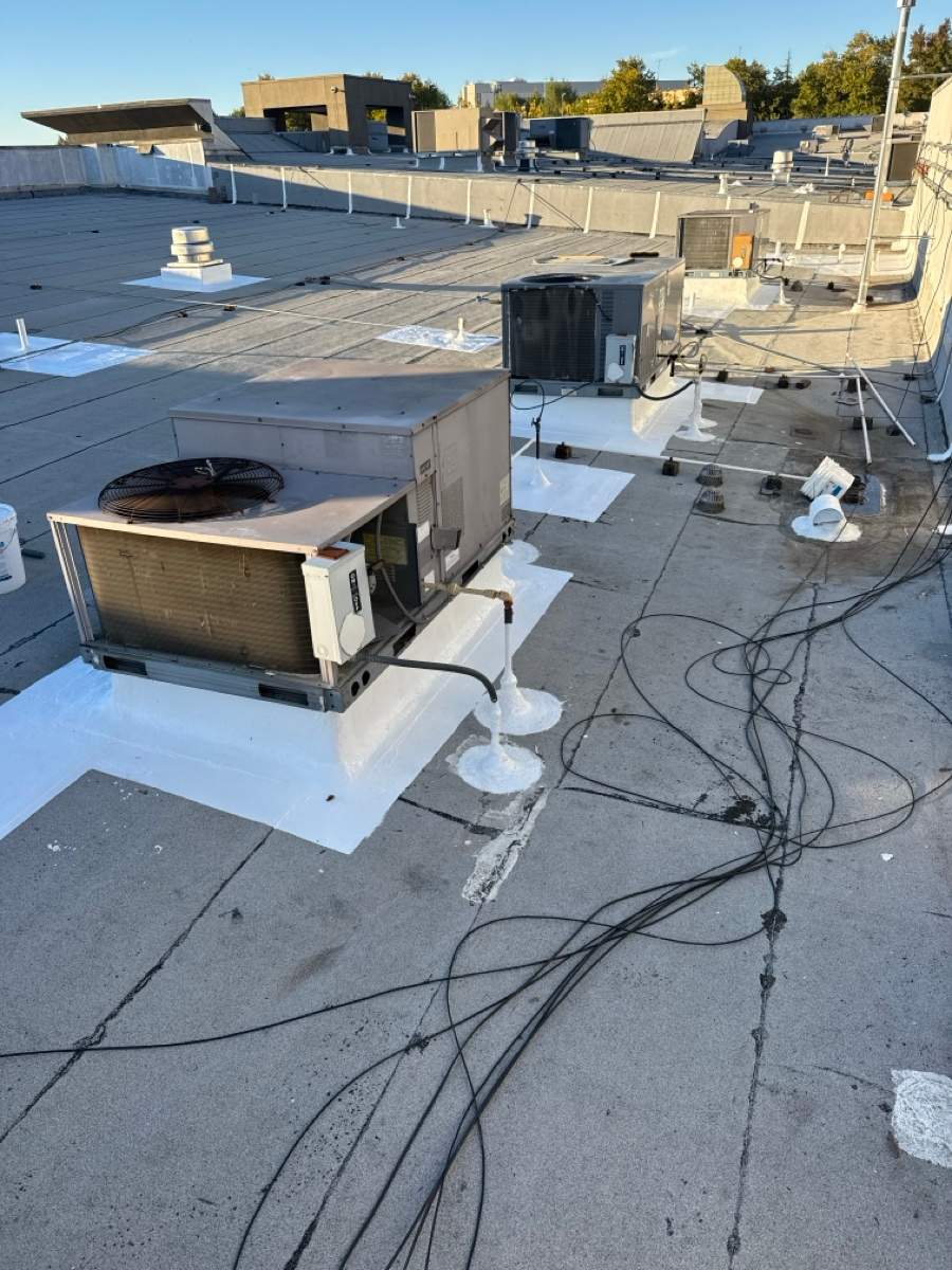 Project in Roseville by Sanchez Single Ply Roofing