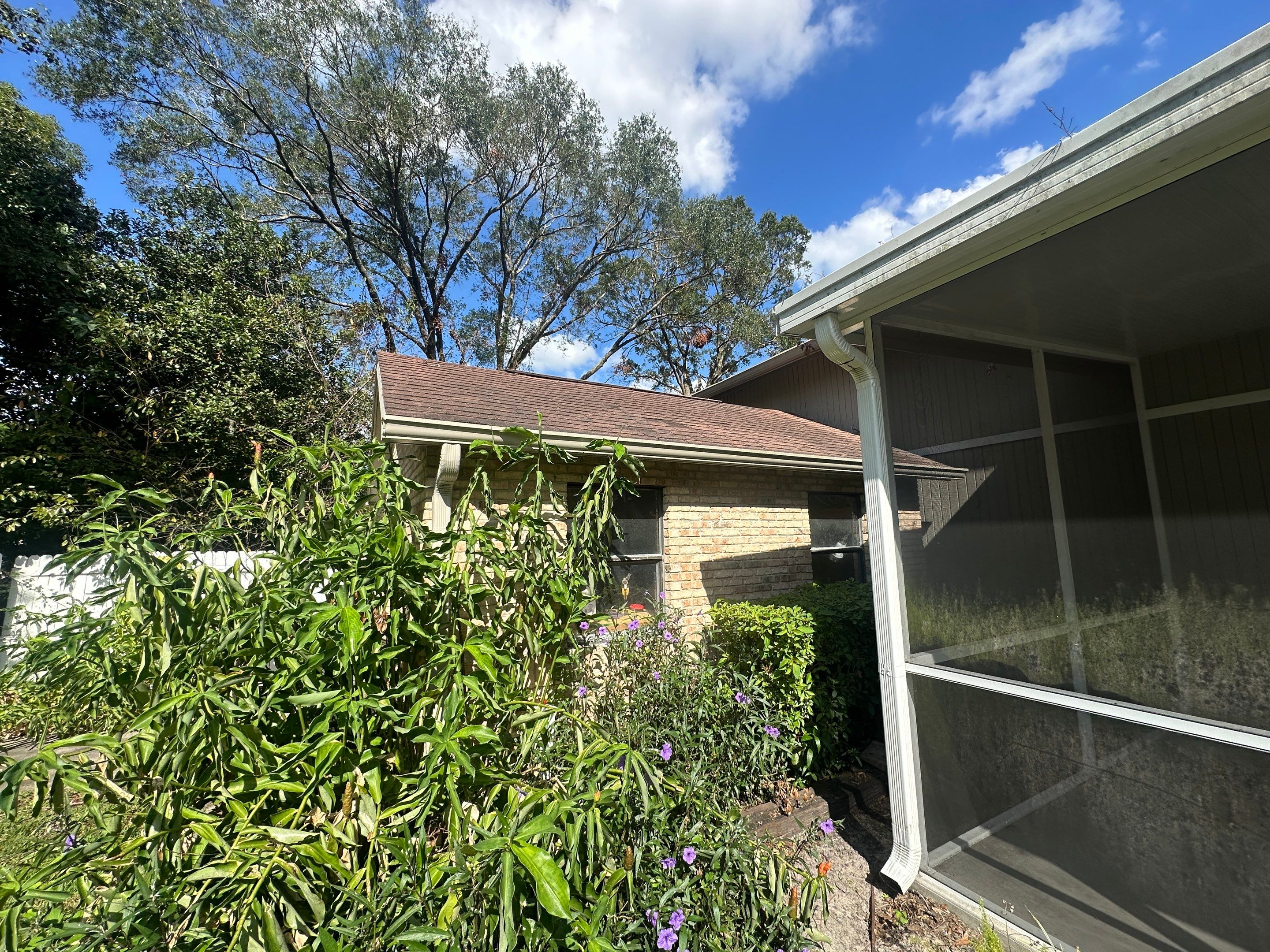 Water Damage Claim in Lutz by FLAPA & KeyStone