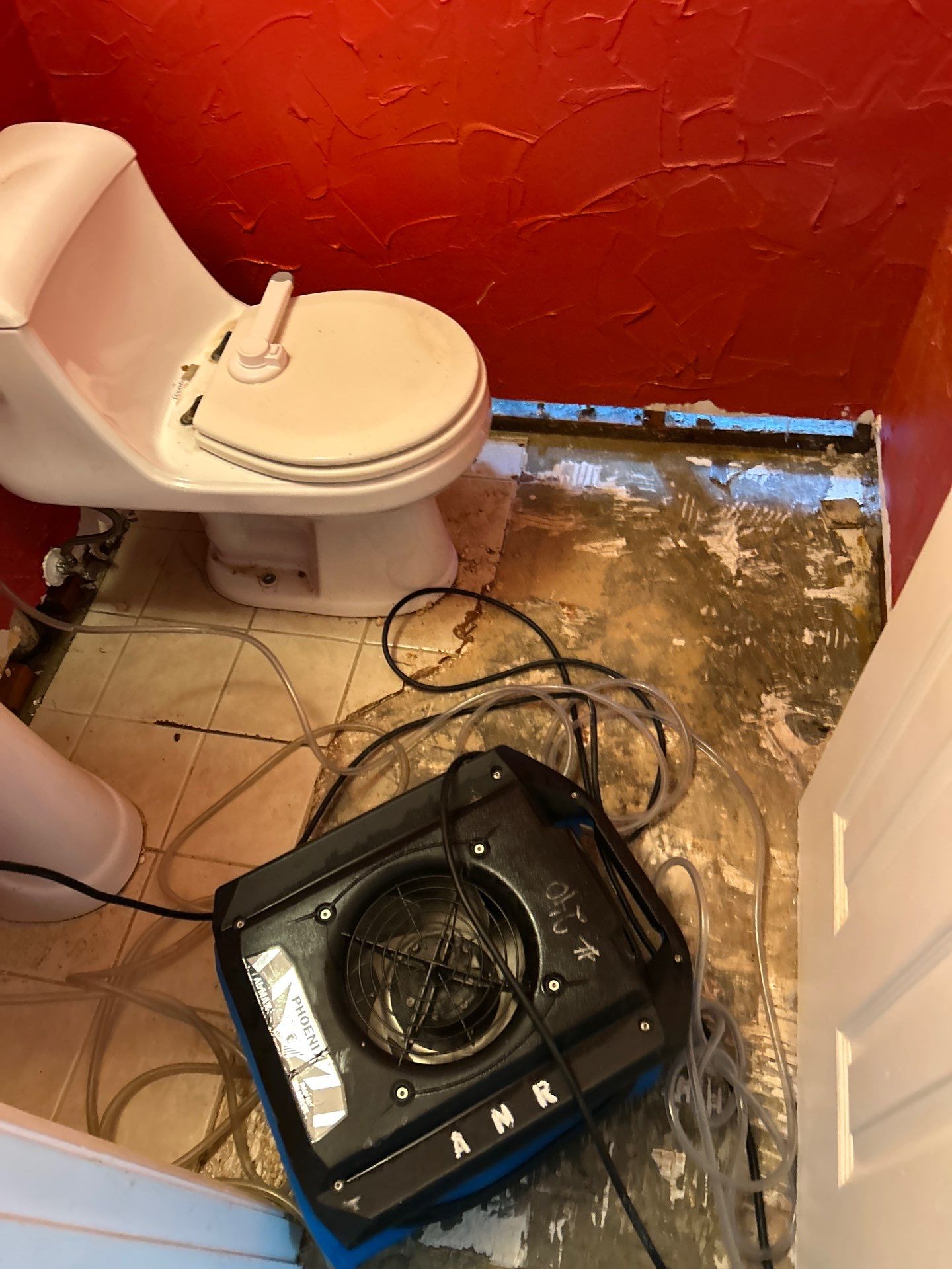 Full Service Restoration by ANR Restoration