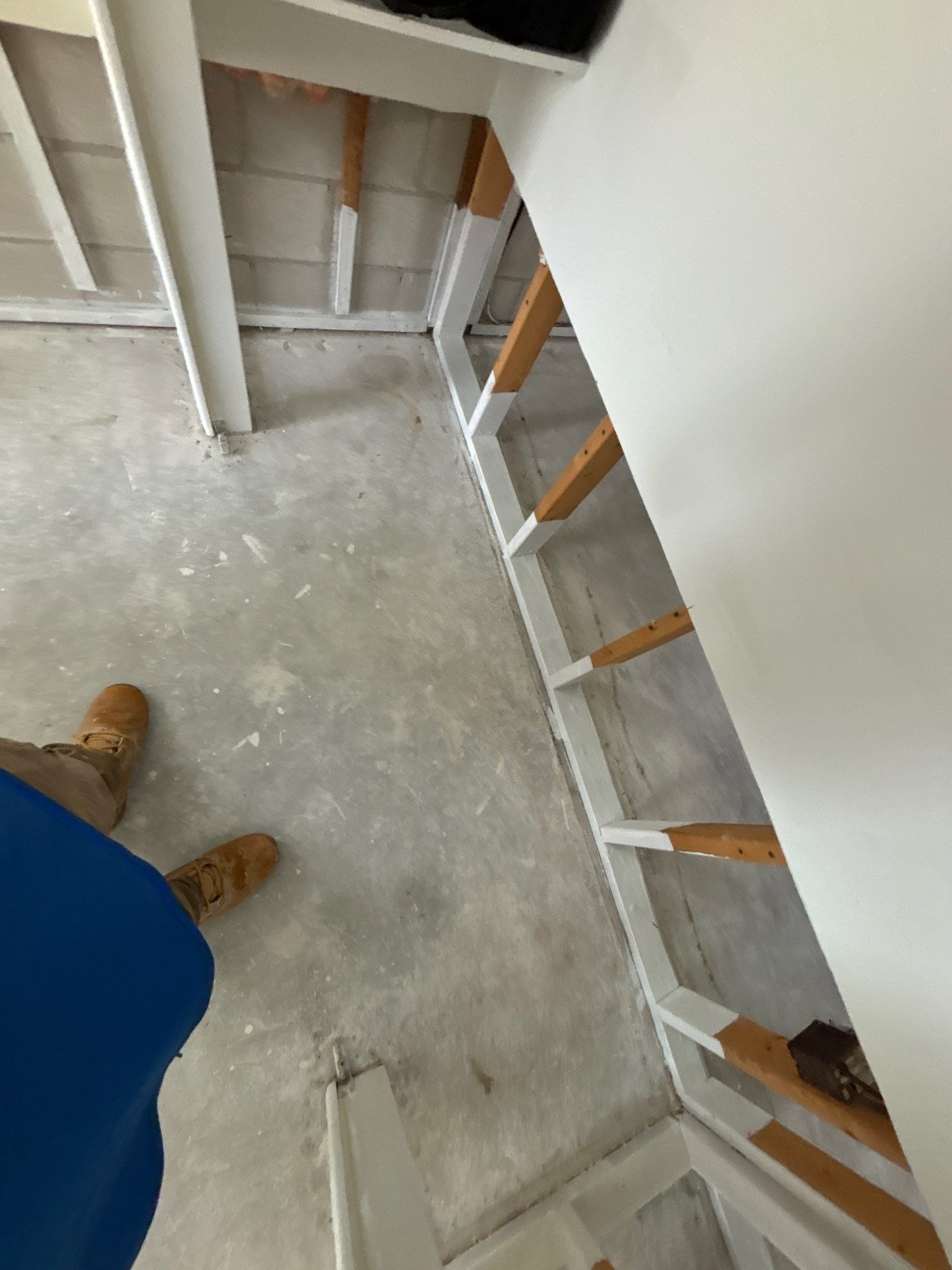 Mold Remediation In Sarasota by Ampm Restoration Services