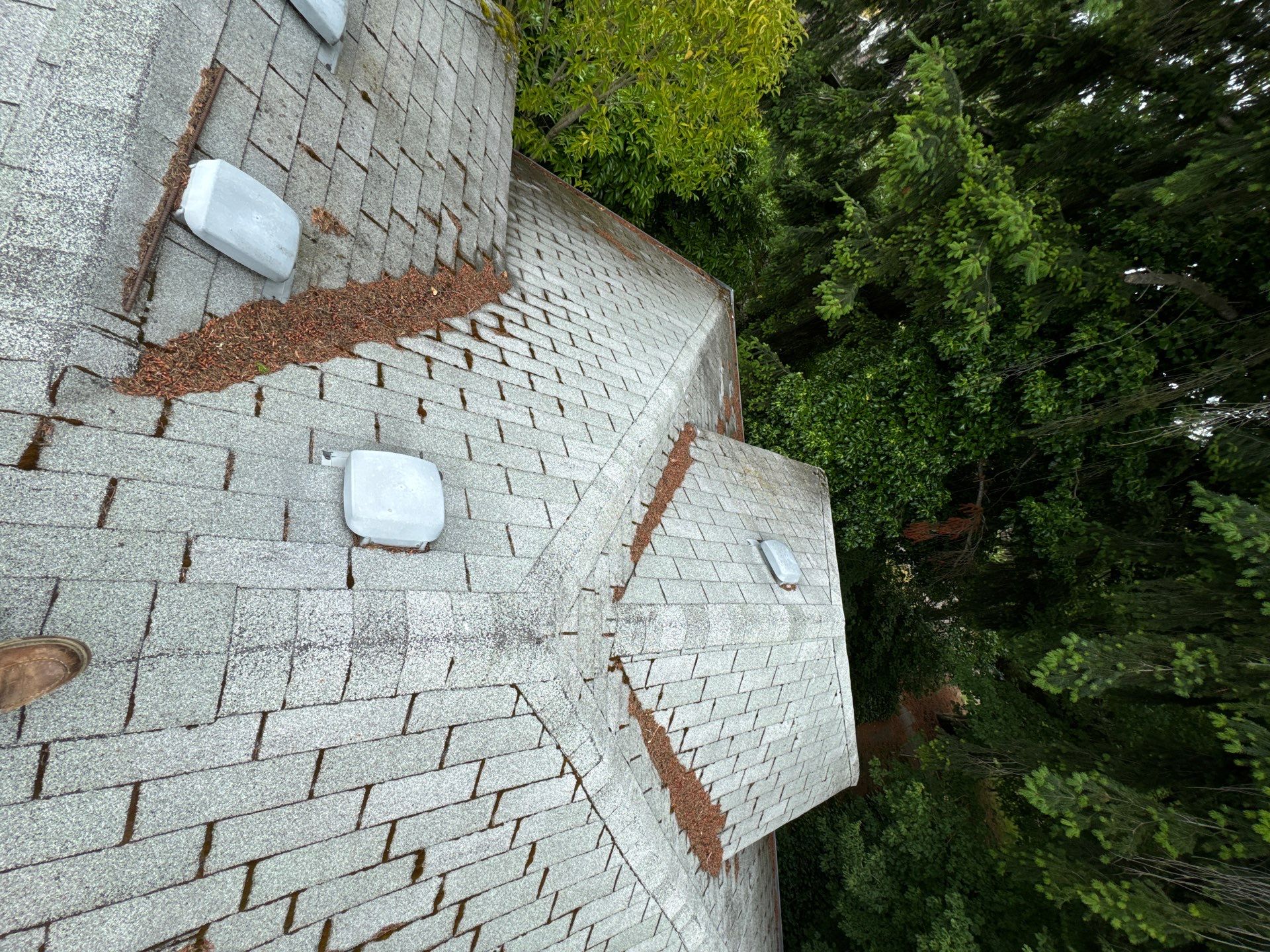 Project in Seattle by Peaks and Valleys Construction