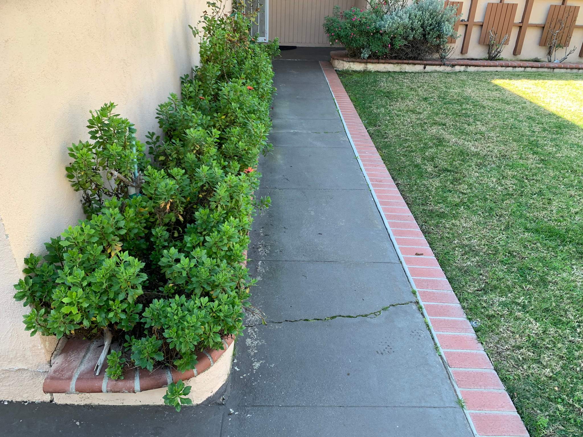 Pressure Wash using Sodium Hypochlorite and Solar Panel Cleaning in Huntington Beach by Property Cleaning Experts, LLC