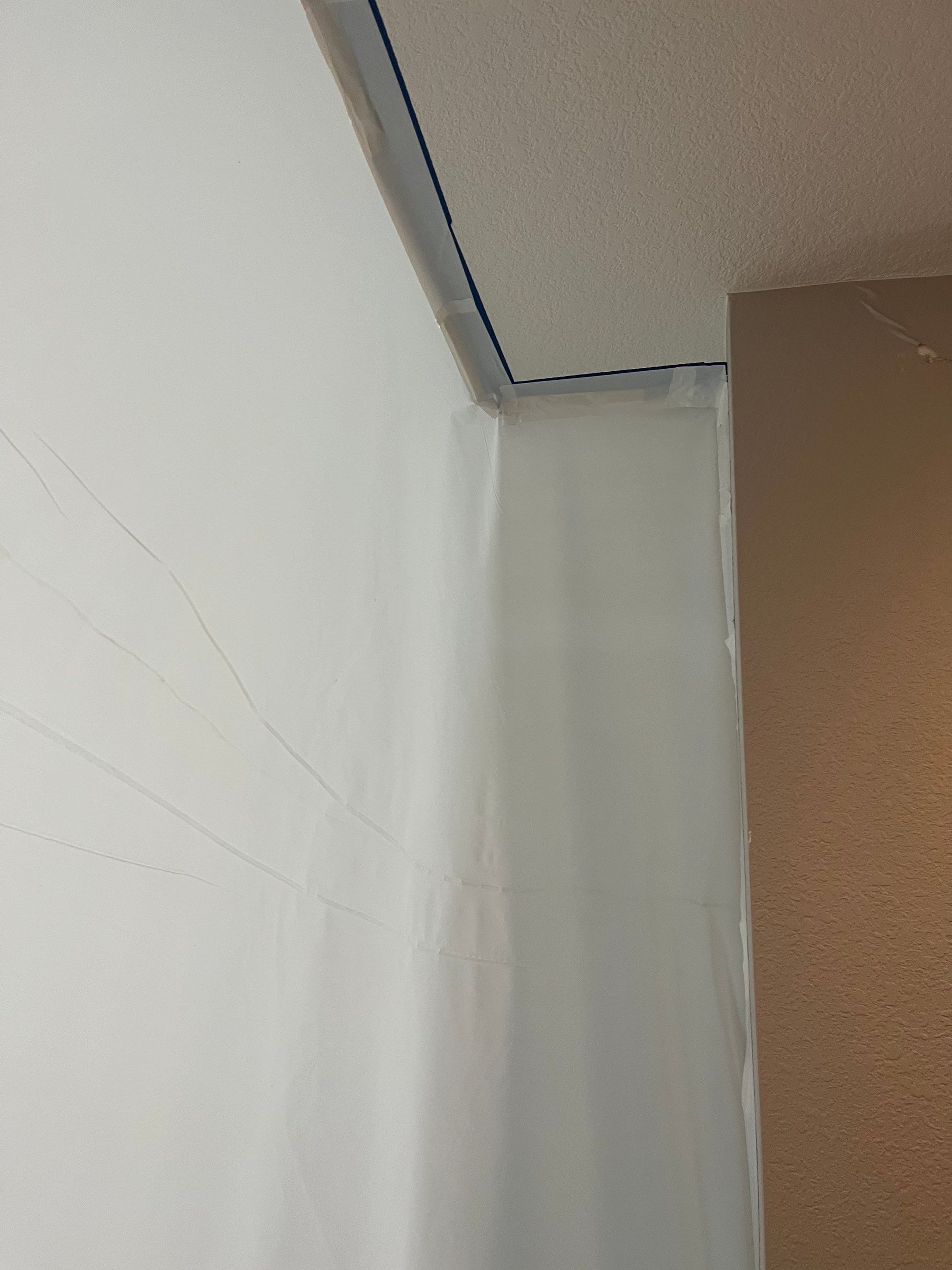 Mold Remediation in Denver, CO by Alpha Restoration 