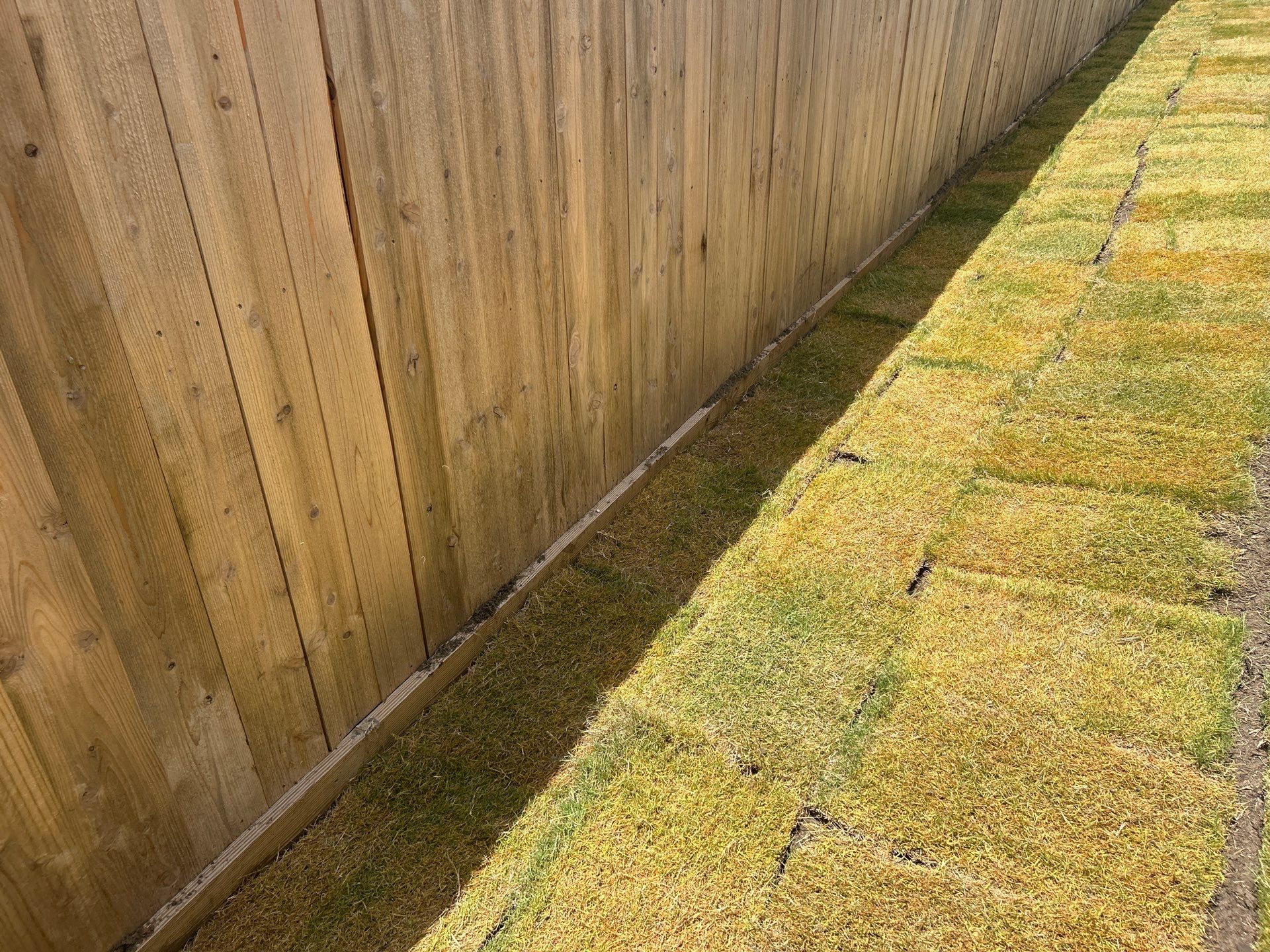 🌿 Mr. Rajaram’s Lawn Transformation by Texas Urban Elements