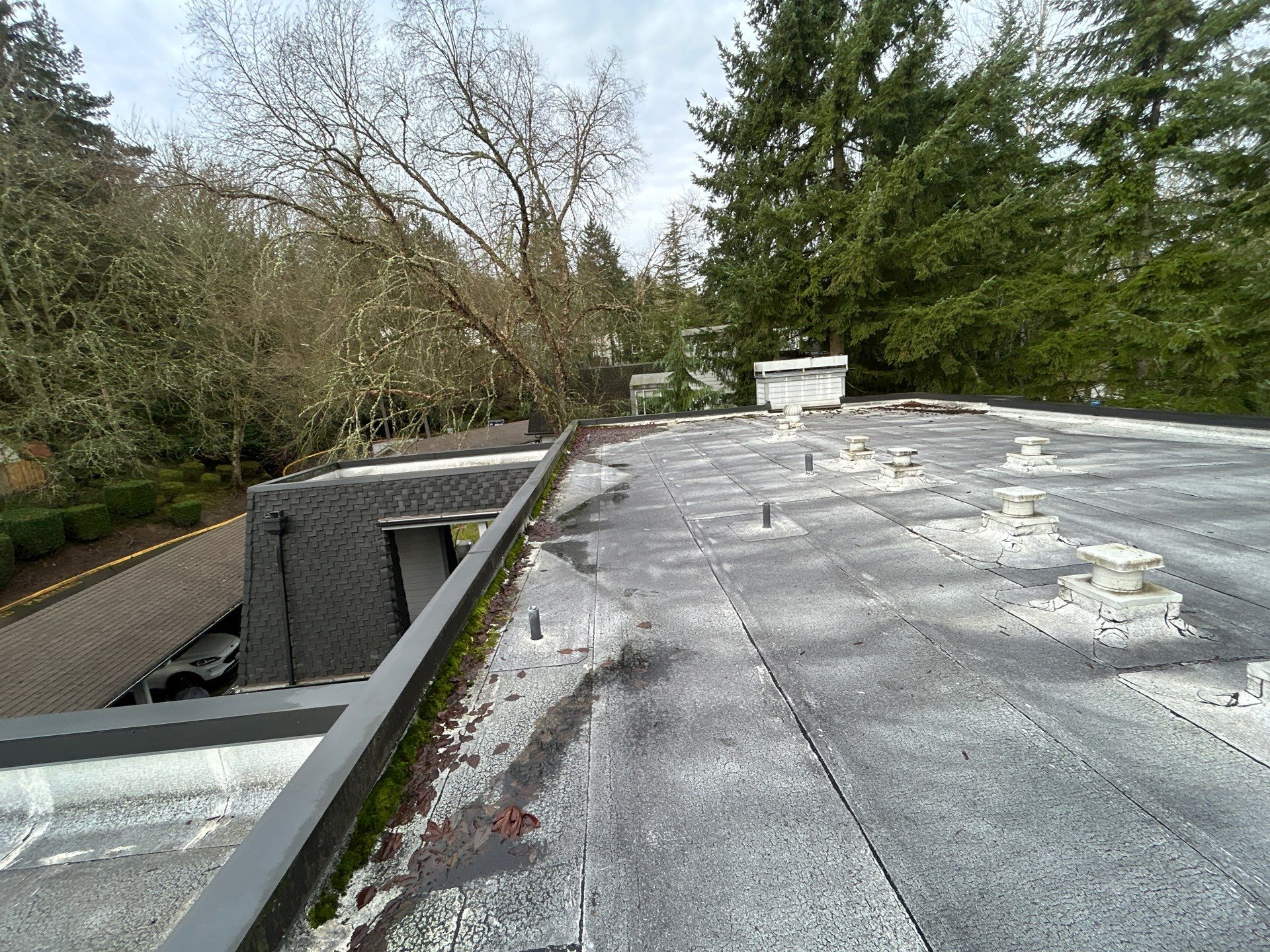Project in Kirkland by Peaks and Valleys Construction