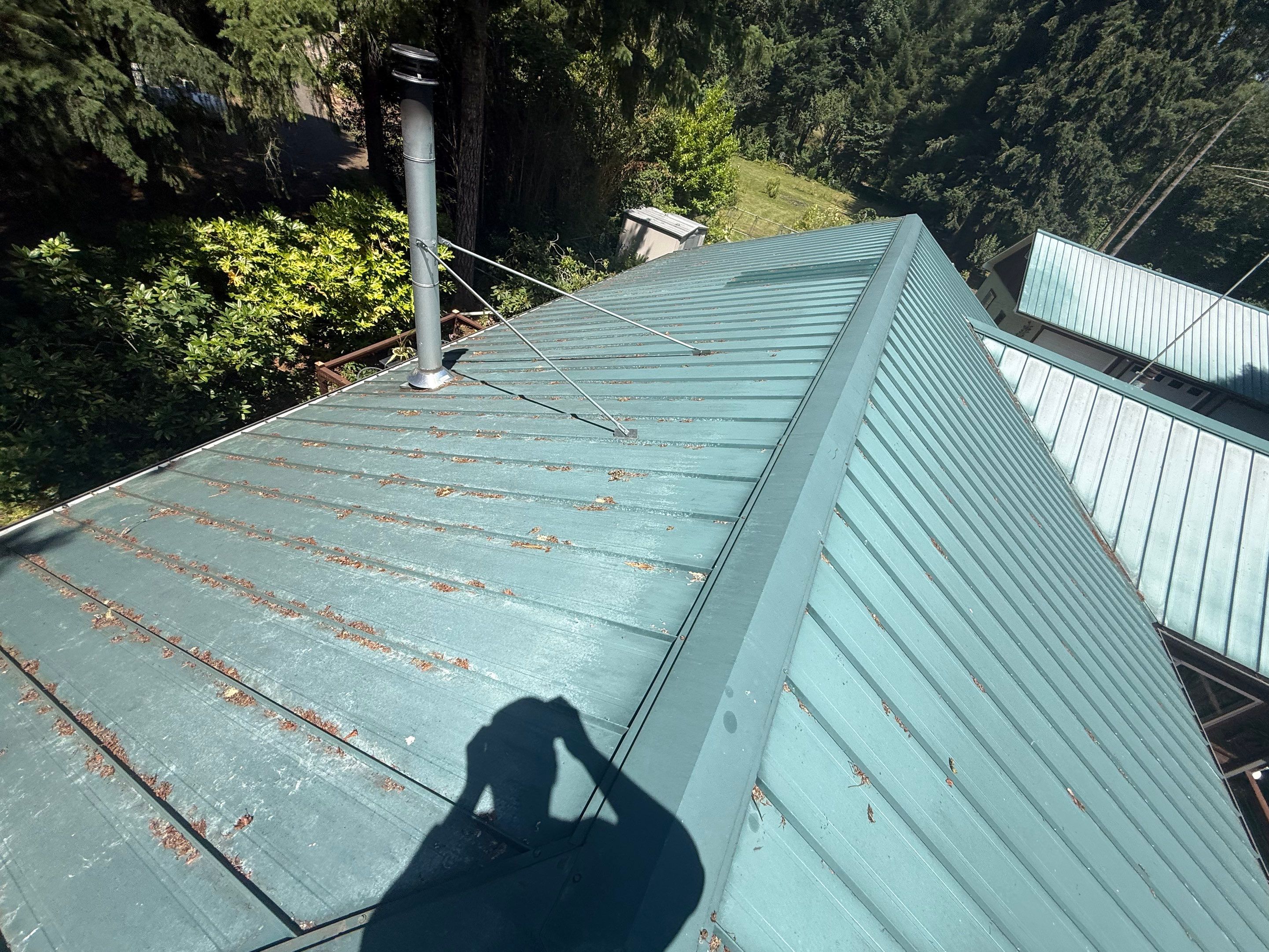 Log Cabin Metal Roof Repair and Skylight Maintenance in Springfield by BEST Roofing & Waterproofing