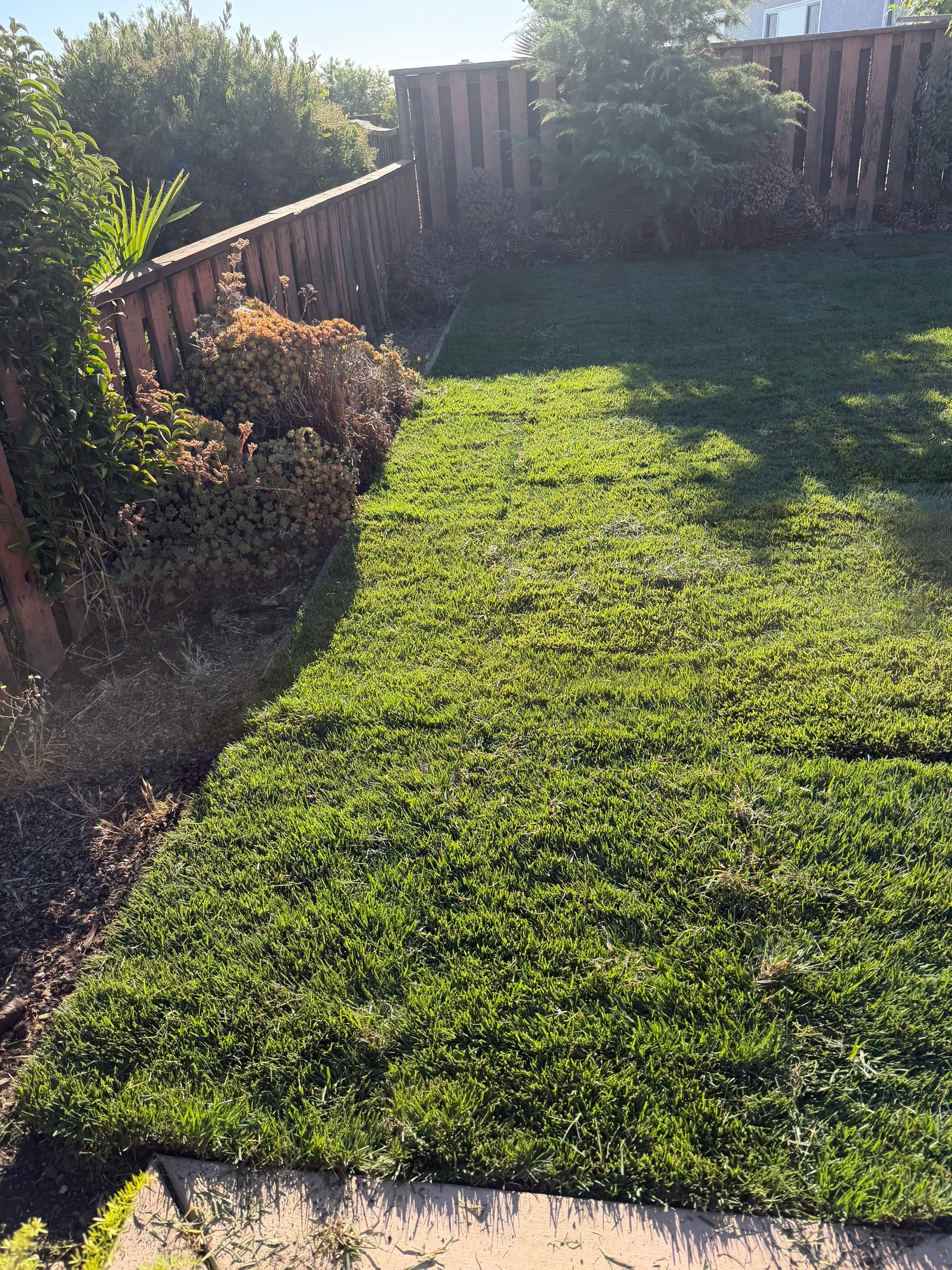Project in Pittsburg by A - G Sod Farms